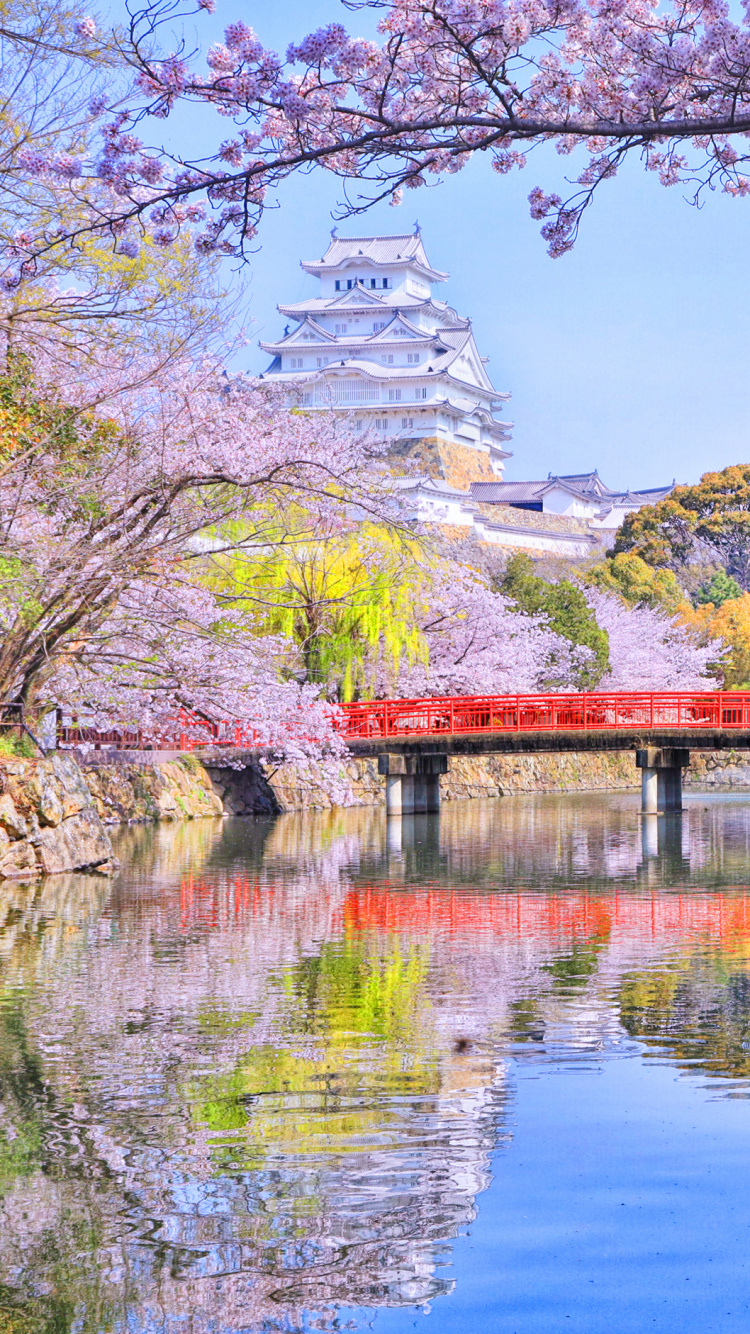 Pont en Bois Brun Au-dessus de la Rivière. Wallpaper in 750x1334 Resolution