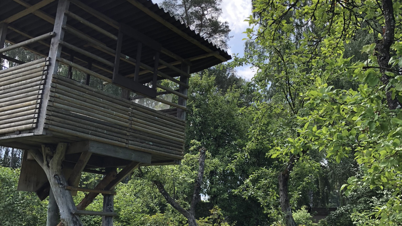 Tree, Tree House, Garden, Rural Area, Shrub. Wallpaper in 1366x768 Resolution