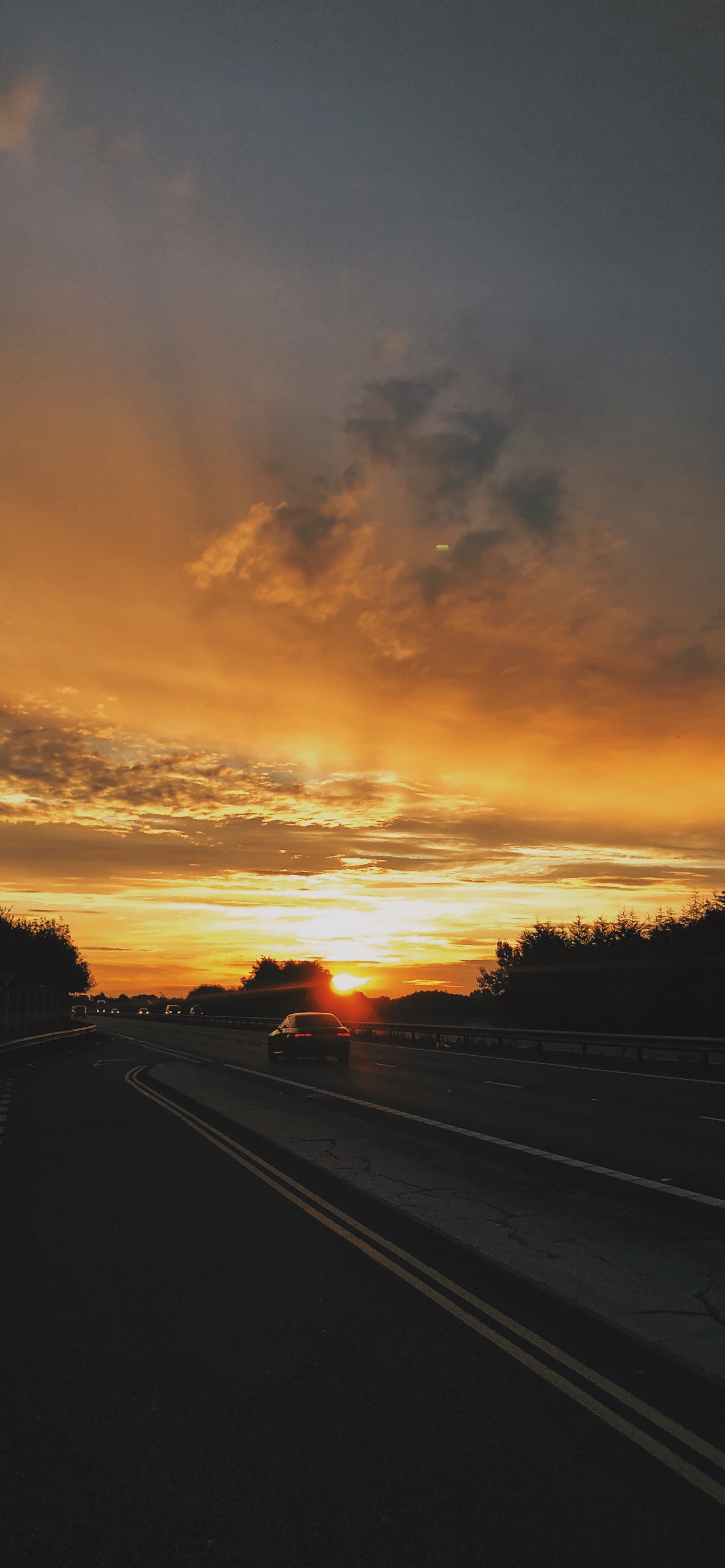 Silueta de Árboles Durante la Puesta de Sol. Wallpaper in 1242x2688 Resolution