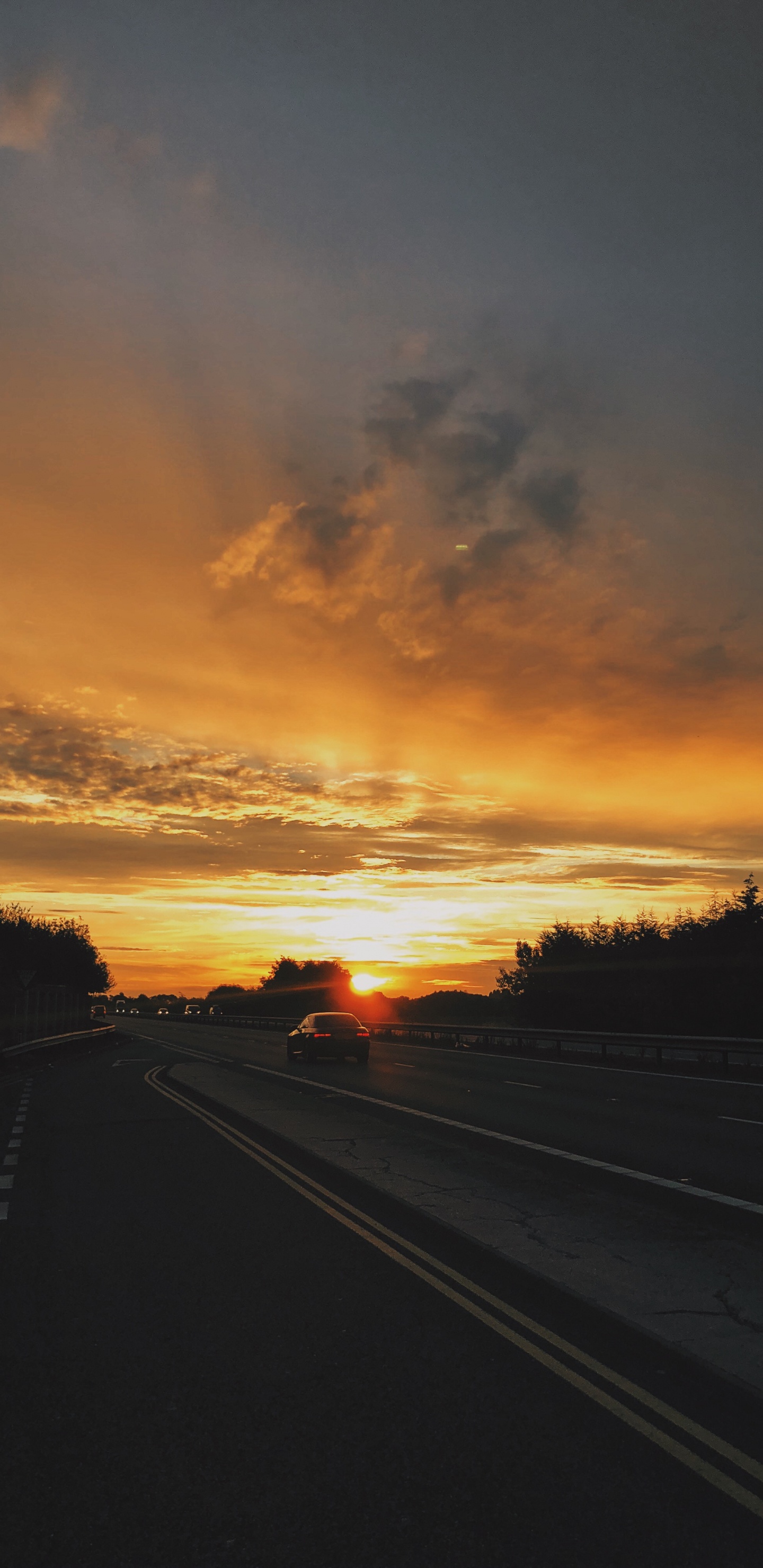 Silueta de Árboles Durante la Puesta de Sol. Wallpaper in 1440x2960 Resolution