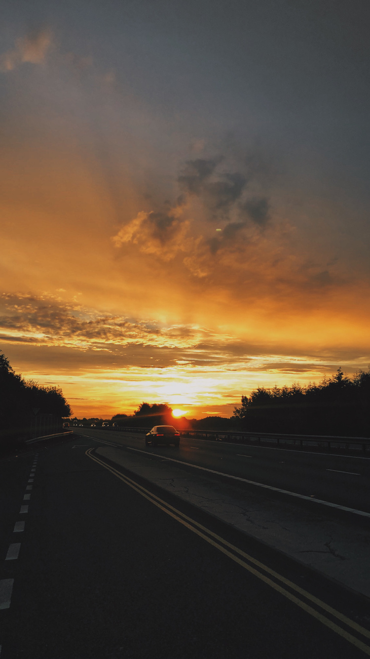 Silueta de Árboles Durante la Puesta de Sol. Wallpaper in 750x1334 Resolution