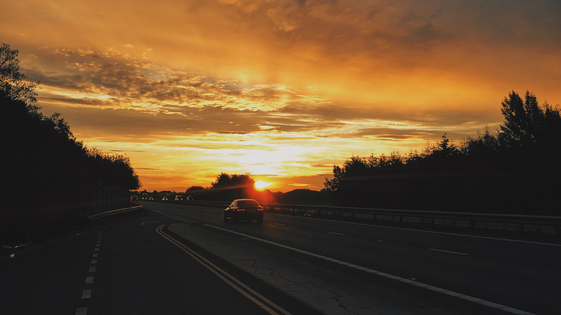 Silhouette D'arbres au Coucher du Soleil. Wallpaper in 1920x1080 Resolution