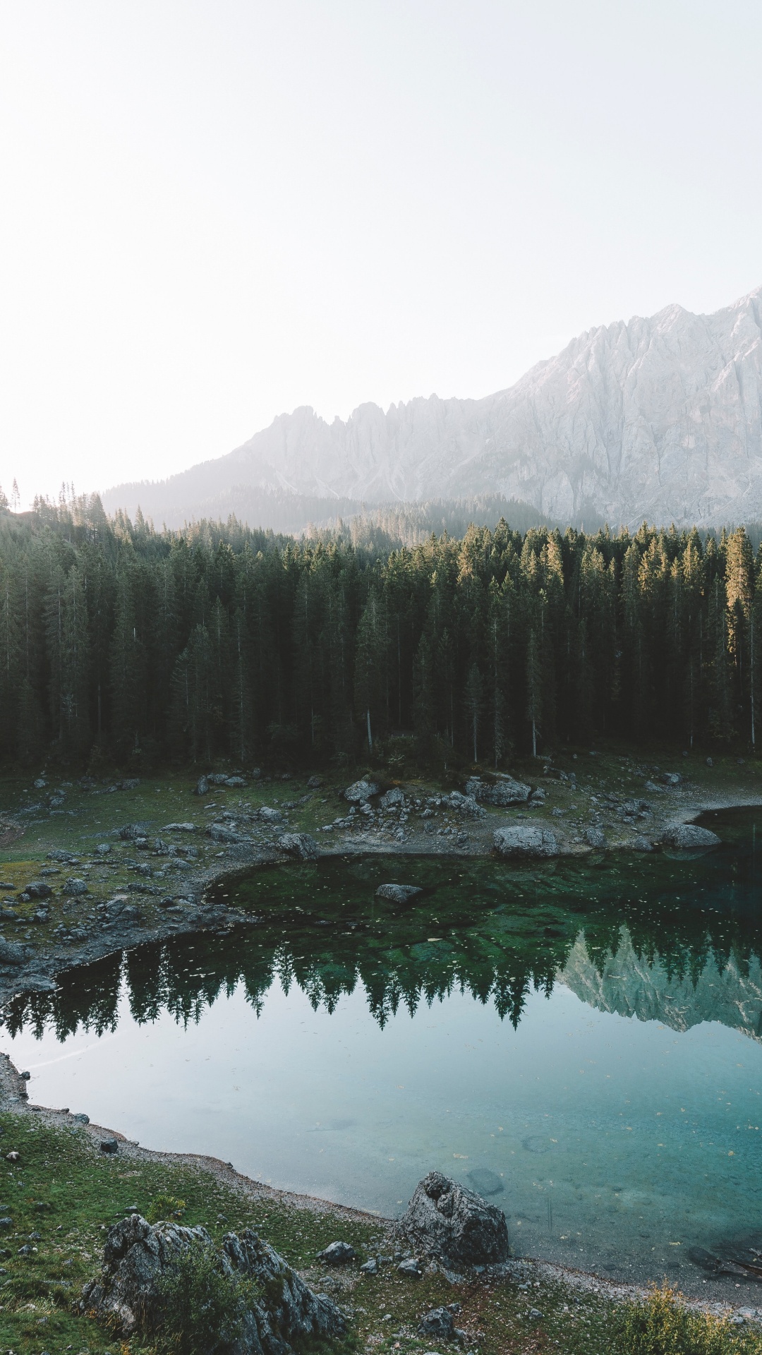 Fir, Forest, Lake, Natural Landscape, Nature. Wallpaper in 1080x1920 Resolution