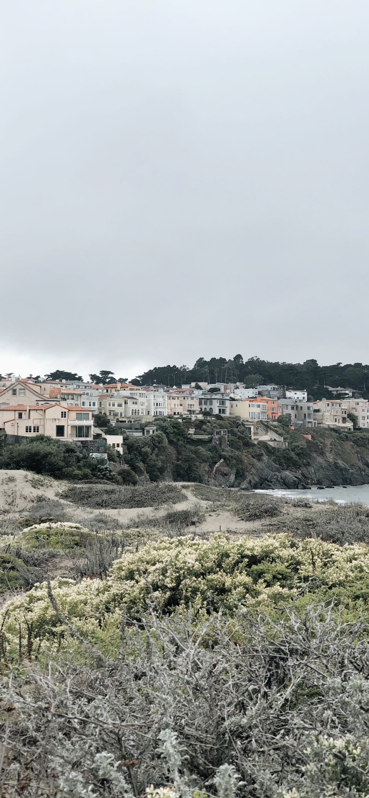 Coast, Plant Community, Biology, Science, Vegetation. Wallpaper in 1242x2688 Resolution