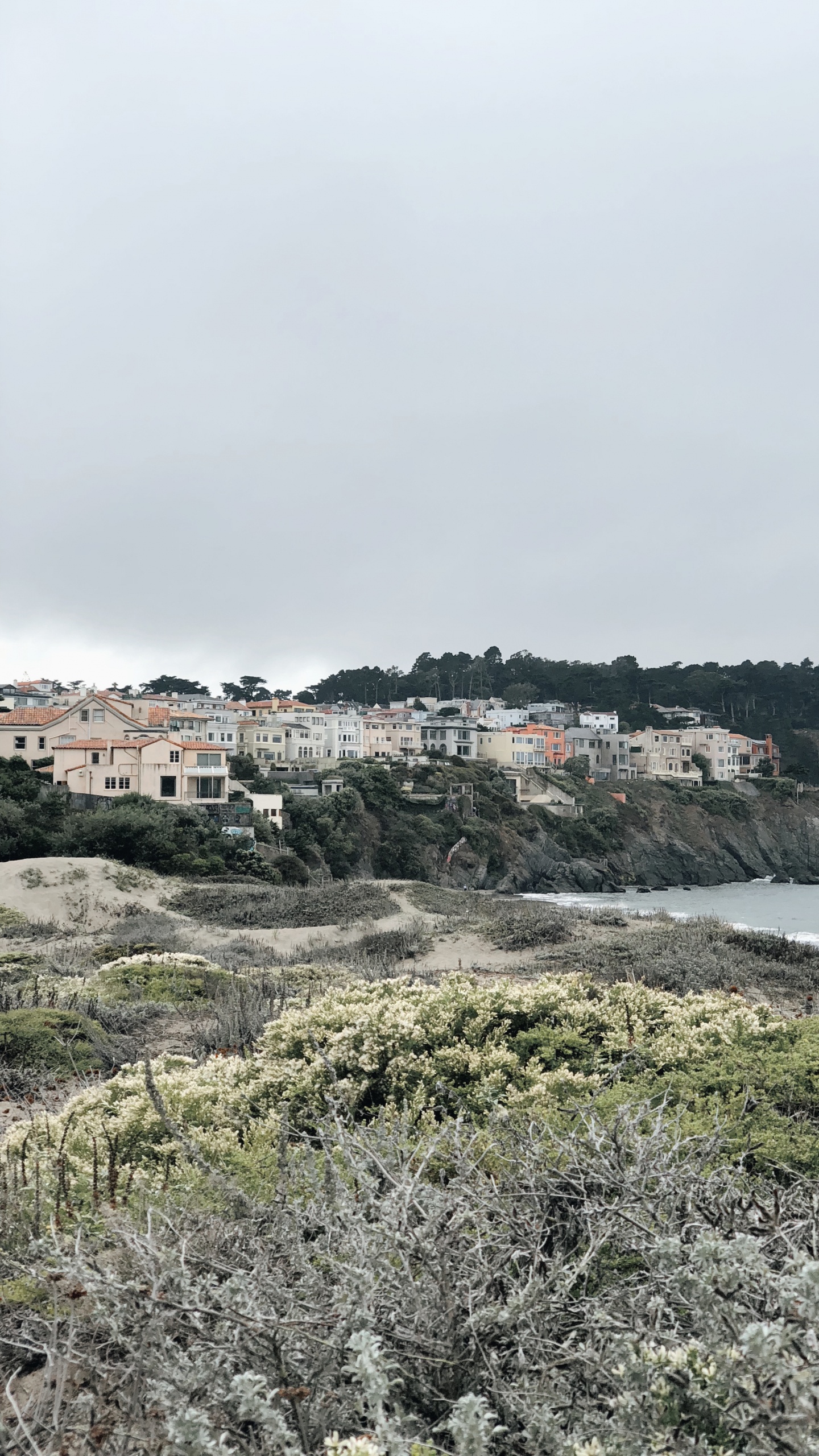 Coast, Plant Community, Biology, Science, Vegetation. Wallpaper in 1440x2560 Resolution