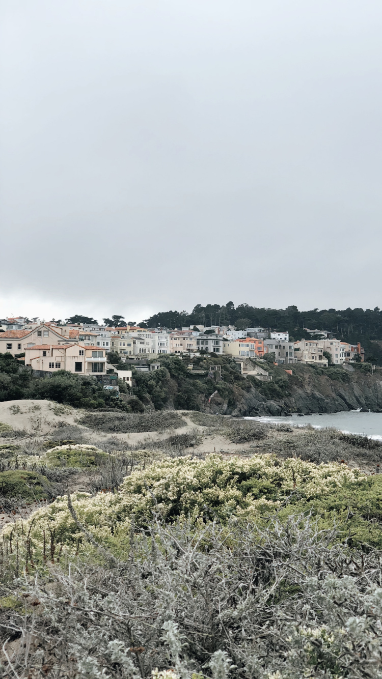 Coast, Plant Community, Biology, Science, Vegetation. Wallpaper in 750x1334 Resolution