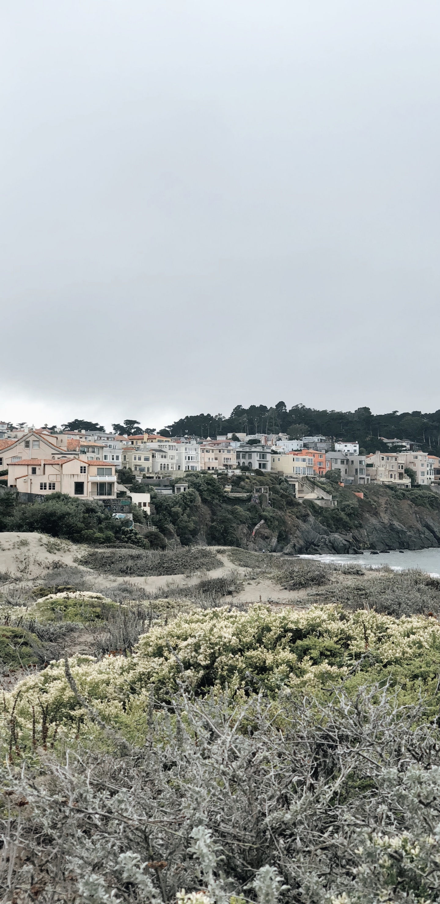 Côte, Plante de la Communauté, Biologie, Sciences, Végétation. Wallpaper in 1440x2960 Resolution