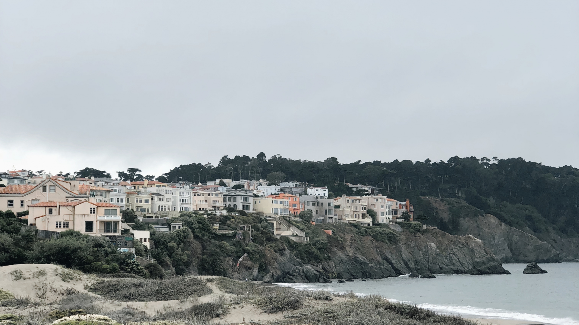 Côte, Plante de la Communauté, Biologie, Sciences, Végétation. Wallpaper in 1920x1080 Resolution