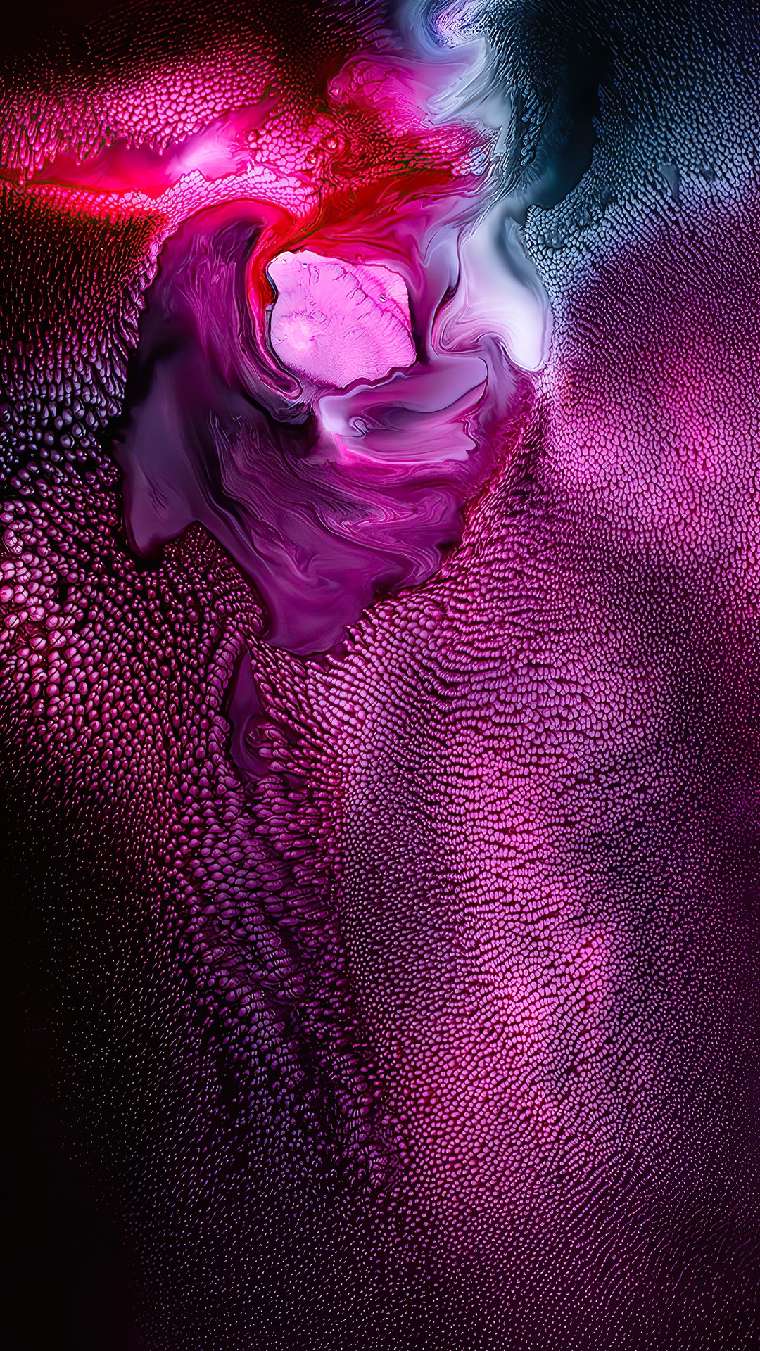 Licht, Purpur, Veilchen, Pink, Blütenblatt. Wallpaper in 1080x1920 Resolution