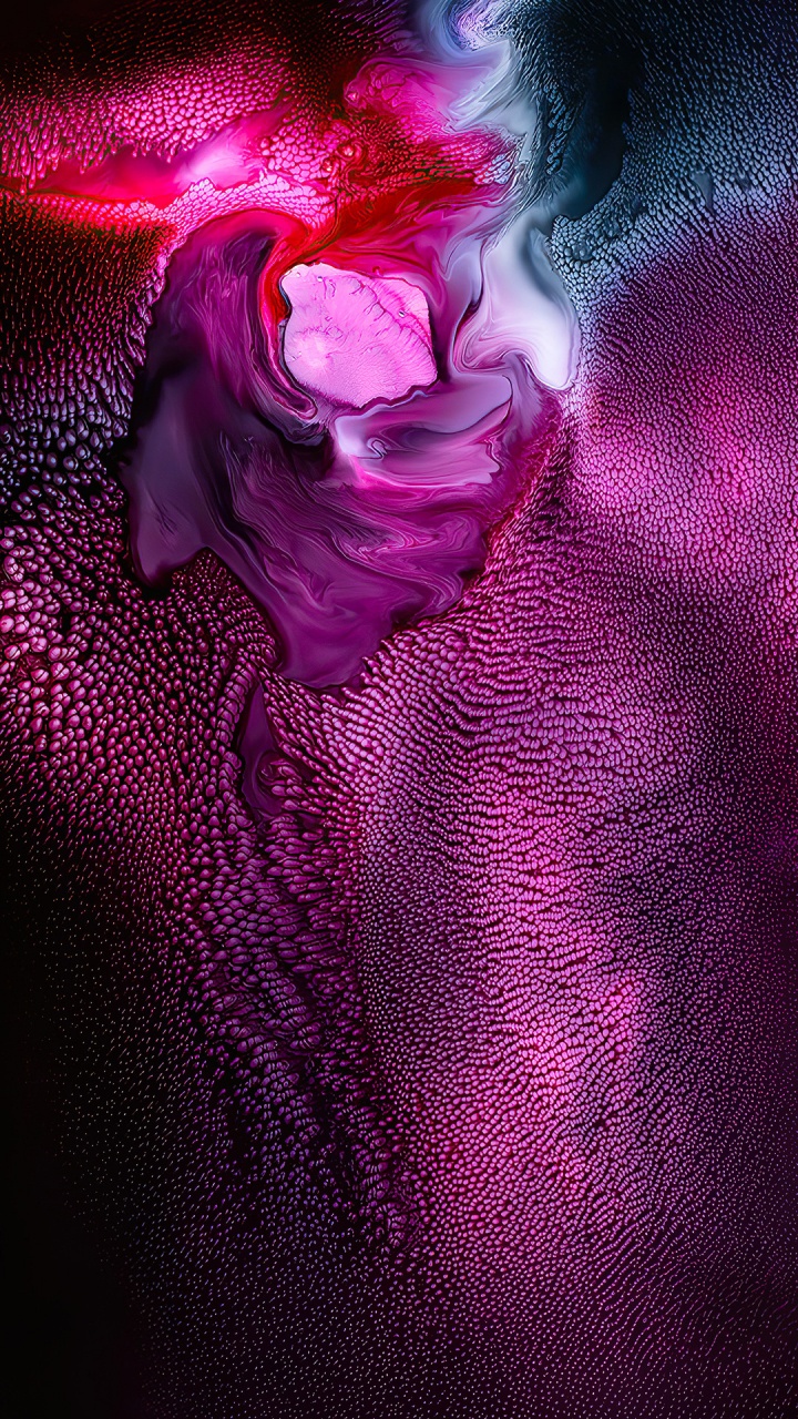 Licht, Purpur, Veilchen, Pink, Blütenblatt. Wallpaper in 720x1280 Resolution