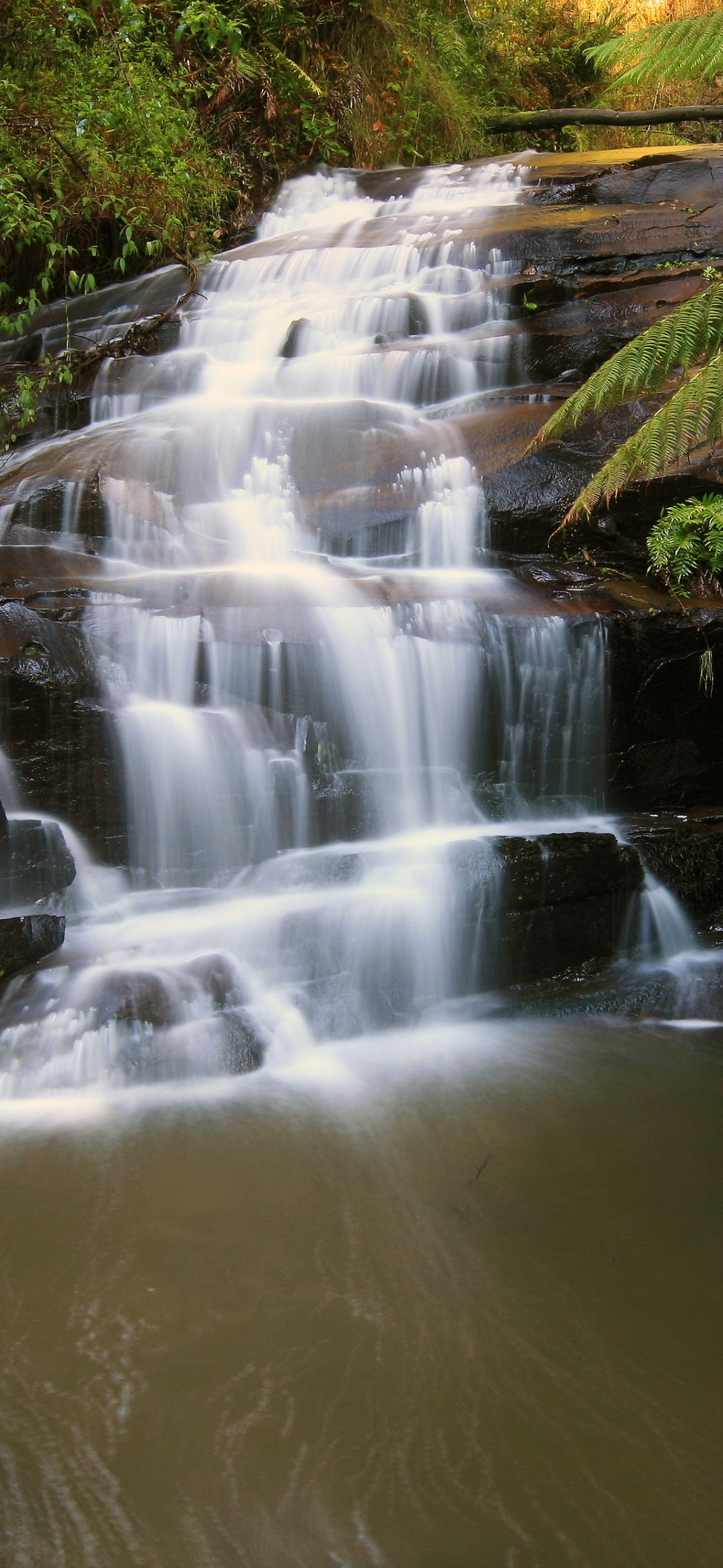 霍普顿瀑布, 公园, 性质, 水资源, 人体内的水 壁纸 1125x2436 允许