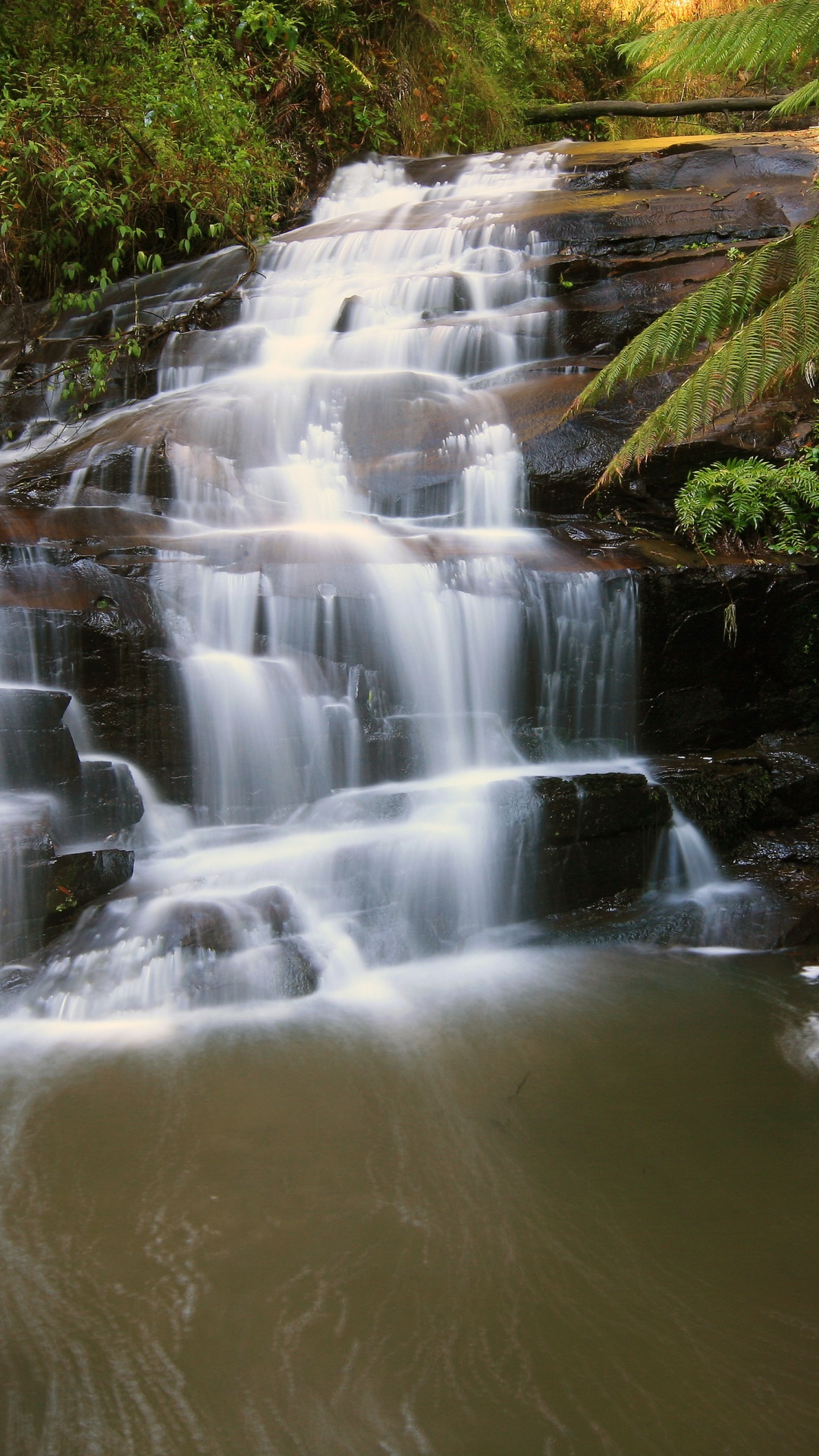 Water Falls in The Middle of Green and Brown Plants. Wallpaper in 1080x1920 Resolution