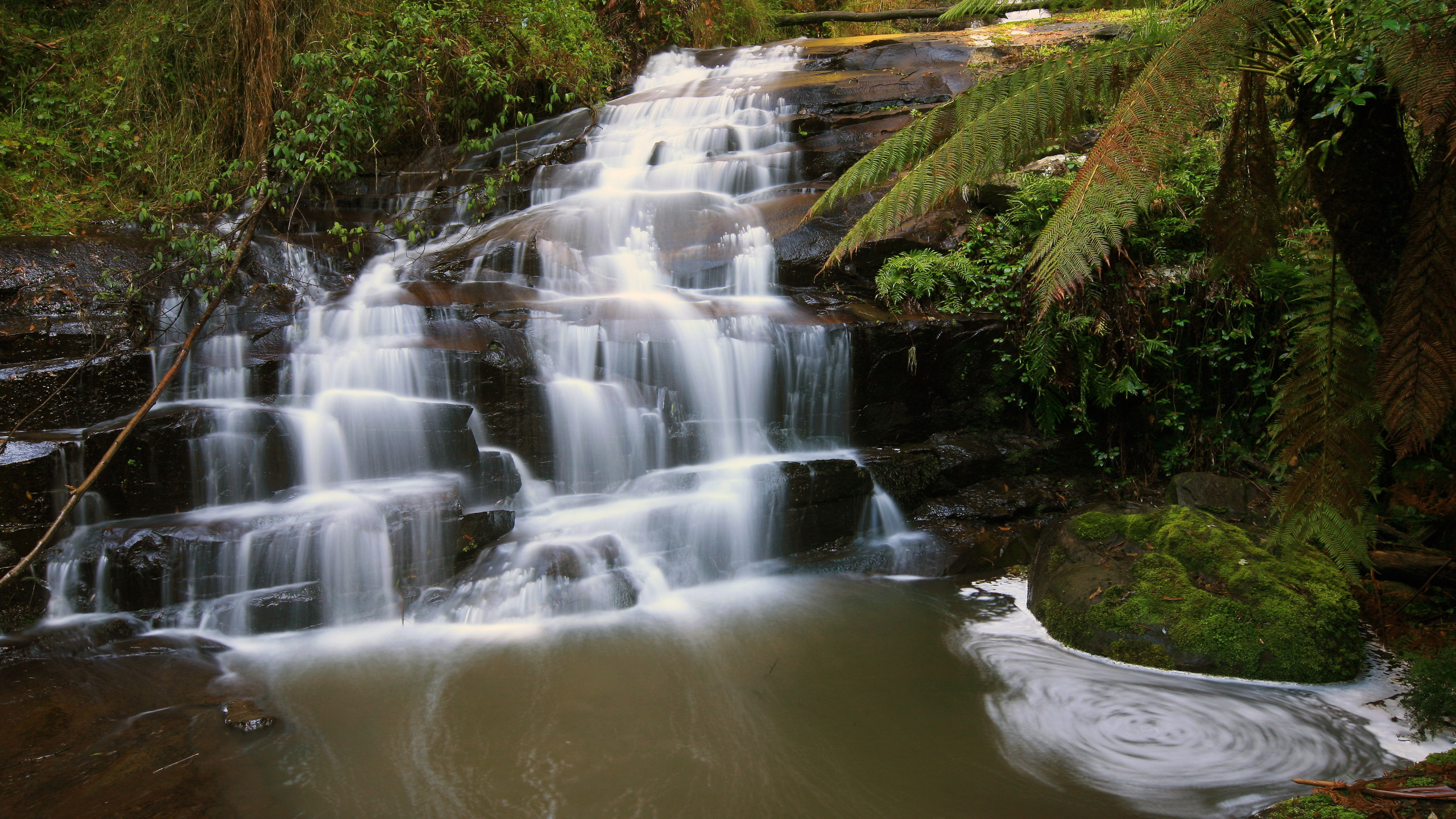 Water Falls in The Middle of Green and Brown Plants. Wallpaper in 2560x1440 Resolution