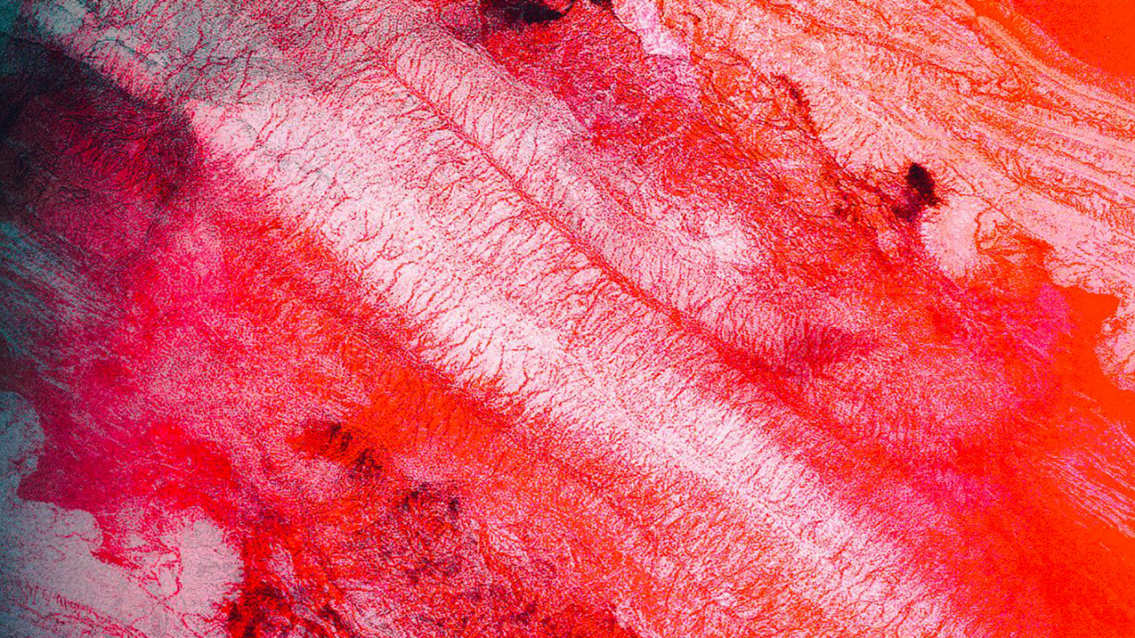 Ios, IOS 13, App Store, Colorfulness, Red. Wallpaper in 1280x720 Resolution