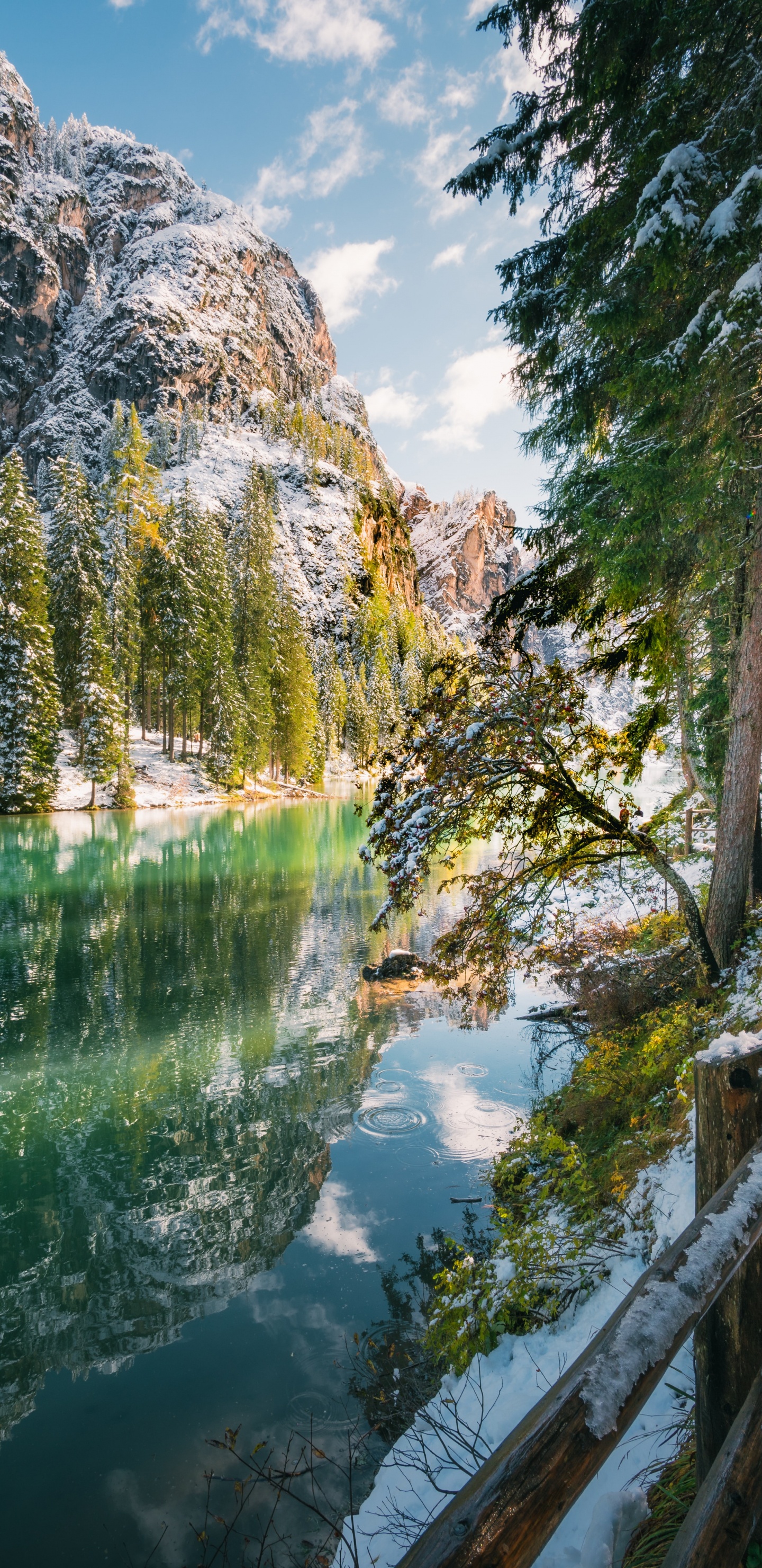 Water, Nature, Earth, Tree, Body of Water. Wallpaper in 1440x2960 Resolution