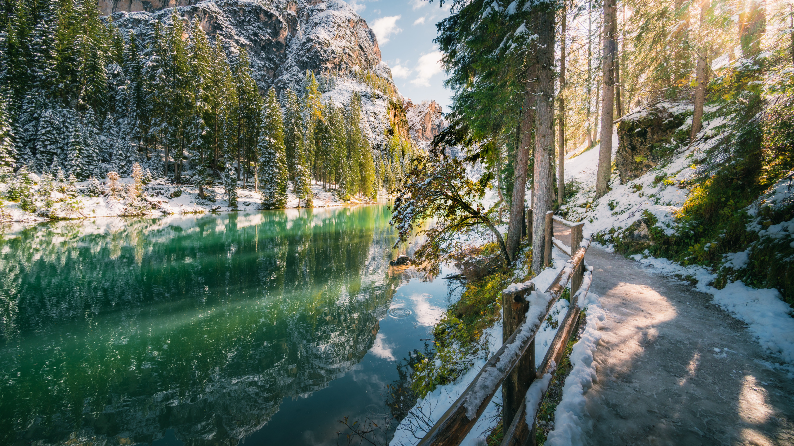 Water, Nature, Earth, Tree, Body of Water. Wallpaper in 2560x1440 Resolution