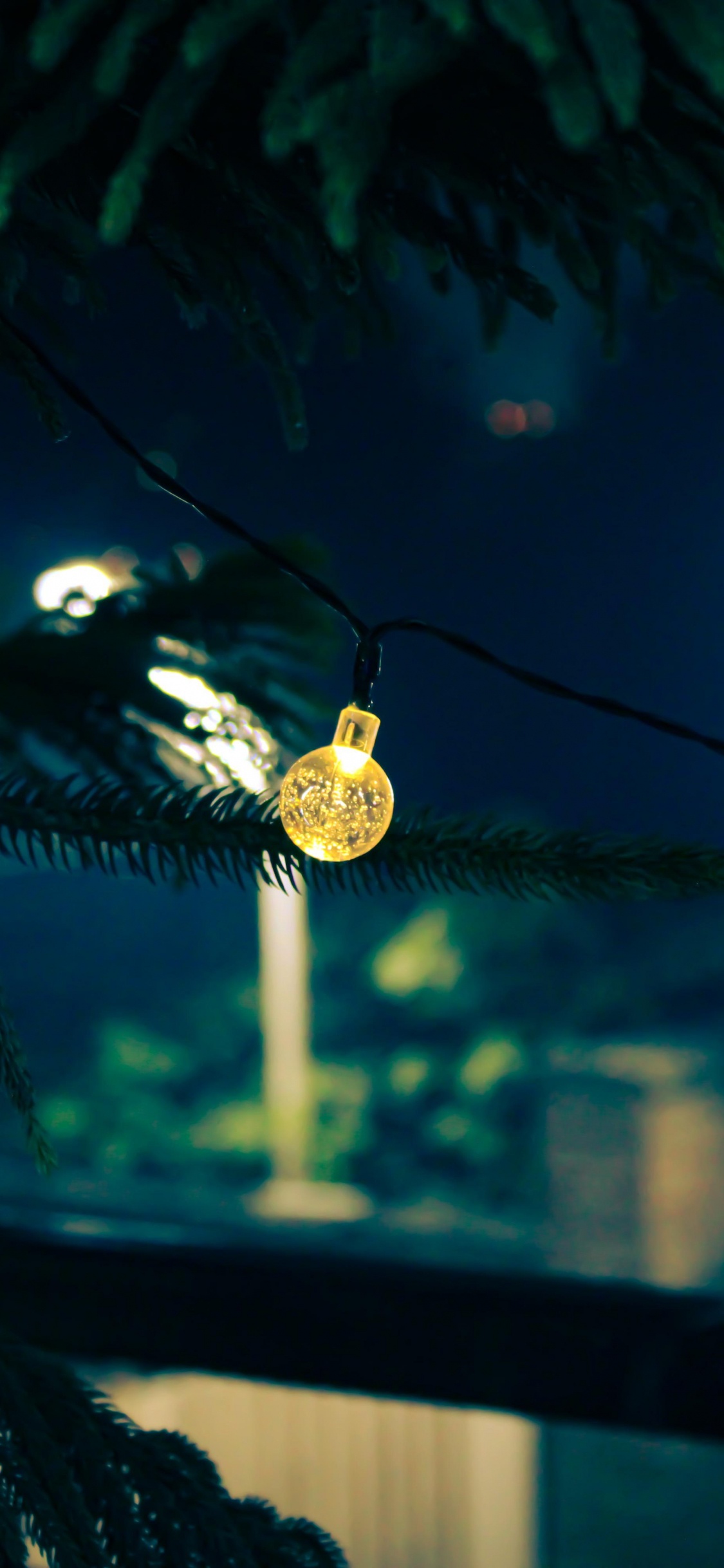 Biología, Planta, Ciencia, Cuerpo de Agua, Naturaleza. Wallpaper in 1125x2436 Resolution