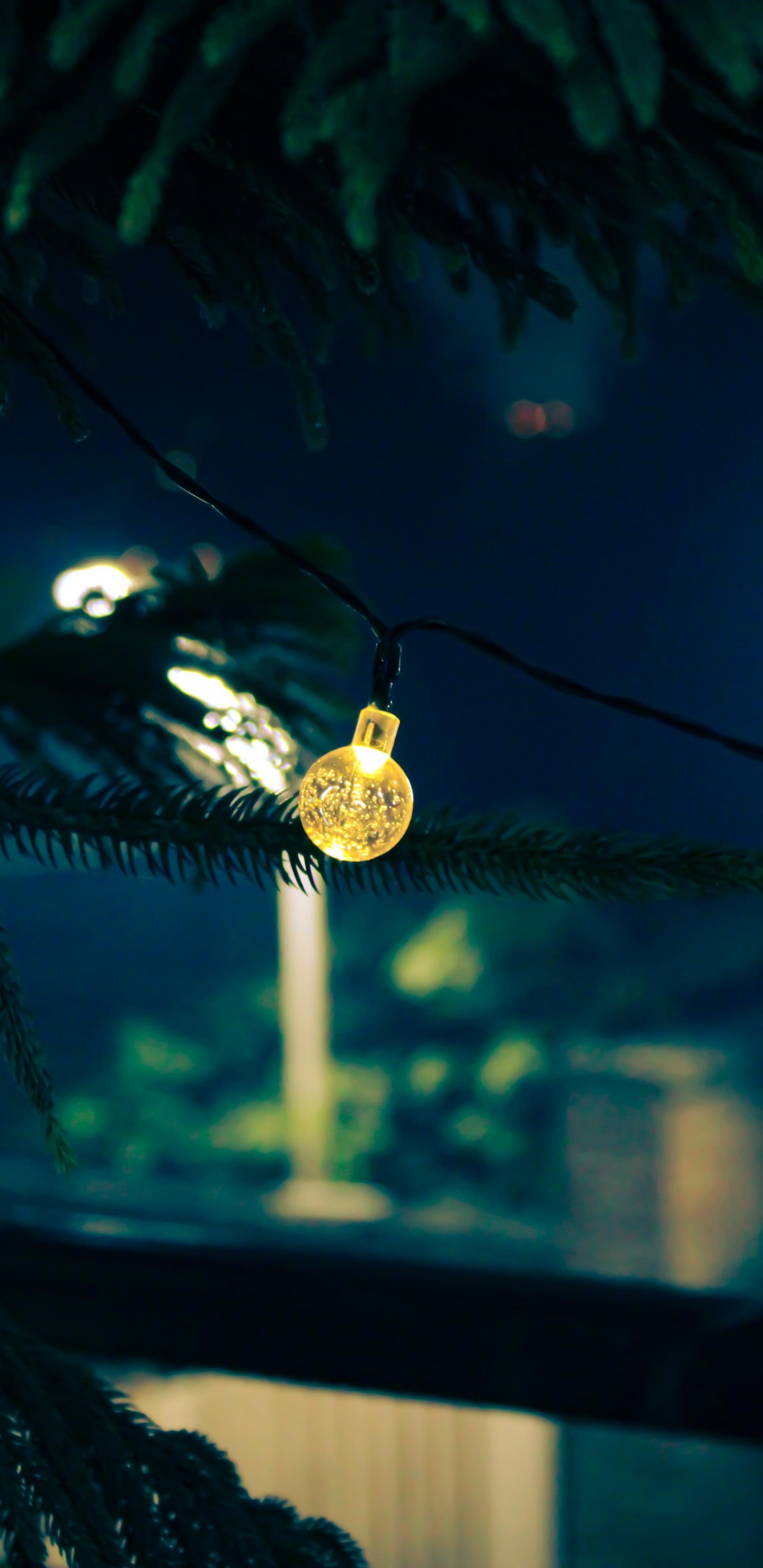 Biología, Planta, Ciencia, Cuerpo de Agua, Naturaleza. Wallpaper in 1440x2960 Resolution