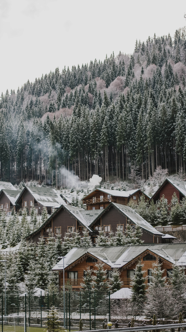 冬天, 住宅区, 的房子, 山站, 农村地区 壁纸 750x1334 允许