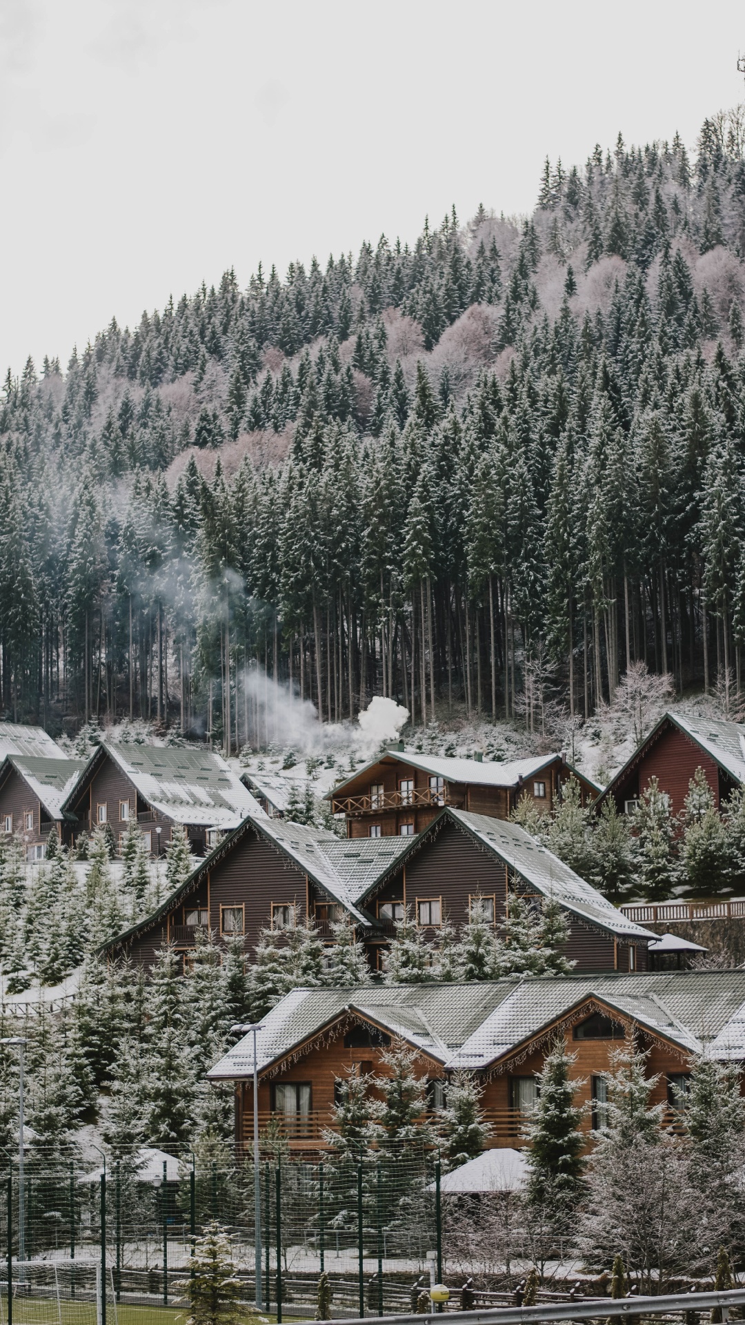 Tree, Snow, Winter, Home, Residential Area. Wallpaper in 1080x1920 Resolution