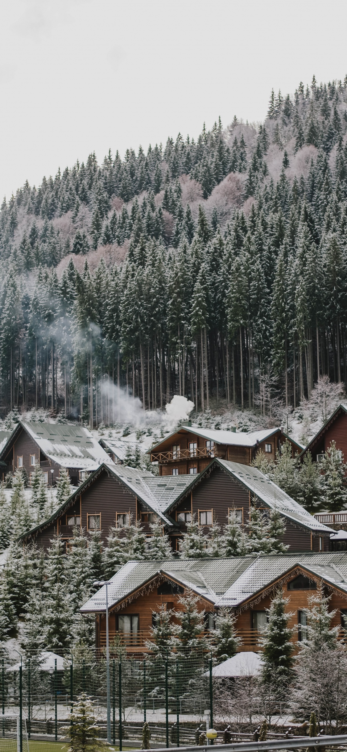 Tree, Snow, Winter, Home, Residential Area. Wallpaper in 1125x2436 Resolution