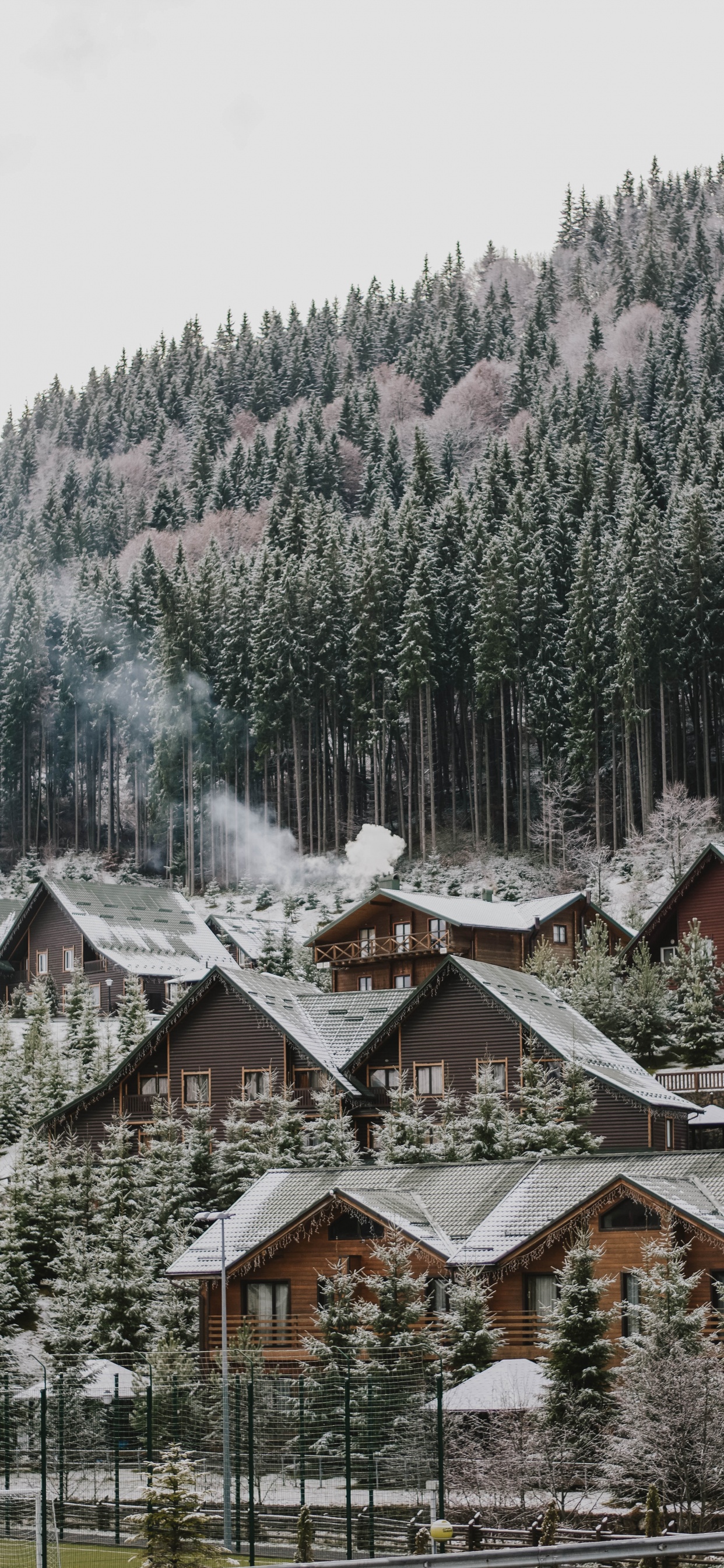 Tree, Snow, Winter, Home, Residential Area. Wallpaper in 1242x2688 Resolution