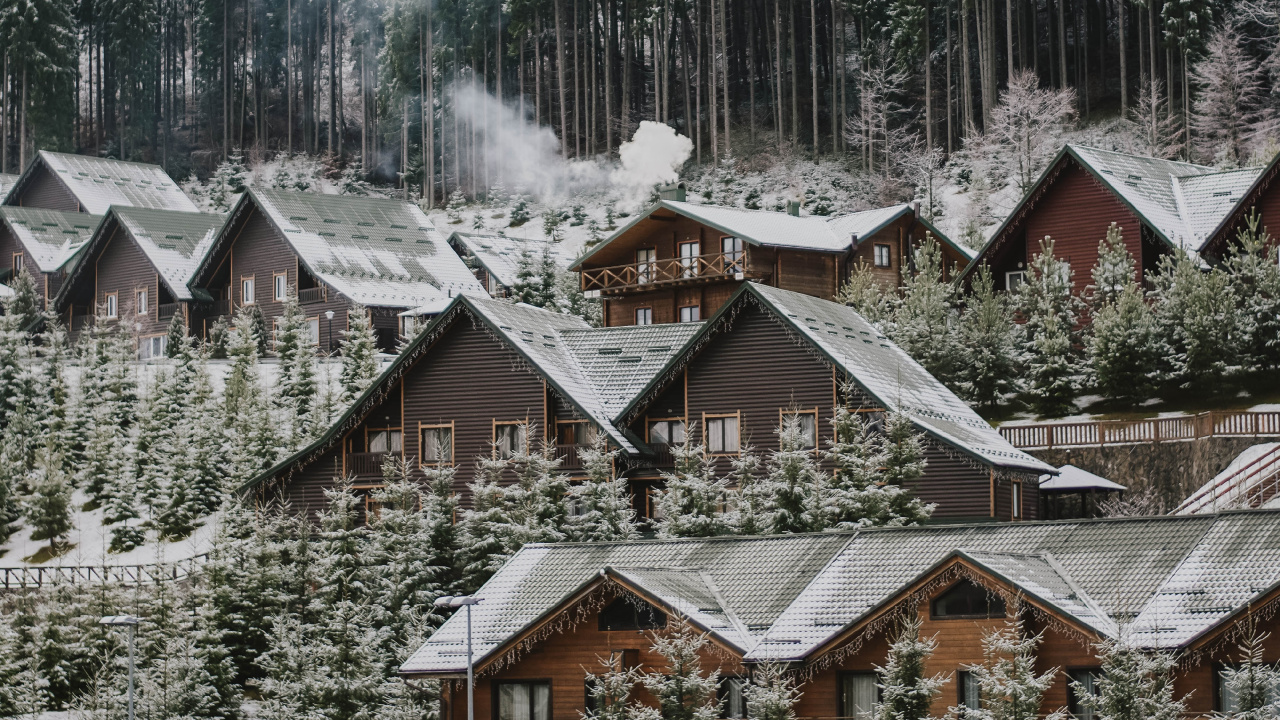 Tree, Snow, Winter, Home, Residential Area. Wallpaper in 1280x720 Resolution