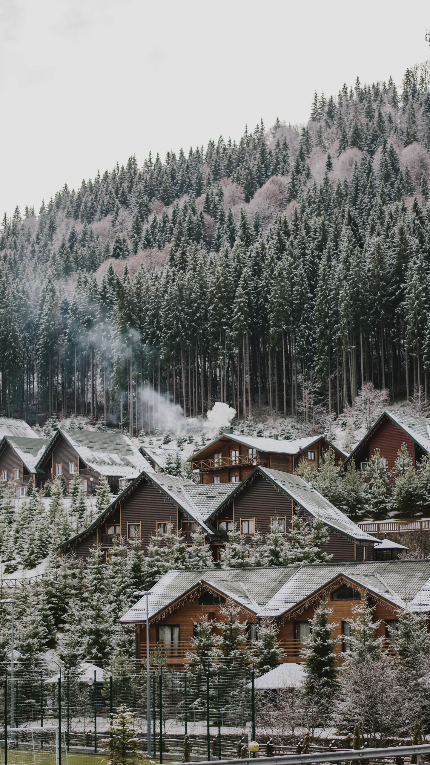 Tree, Snow, Winter, Home, Residential Area. Wallpaper in 1440x2560 Resolution