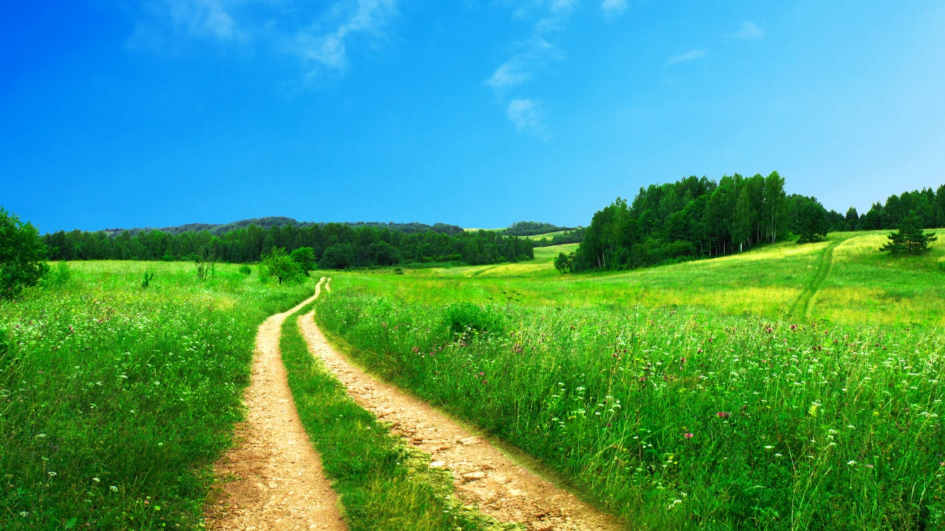 Brown Dirt Road Between Green Grass Field Under Blue Sky During Daytime. Wallpaper in 1366x768 Resolution
