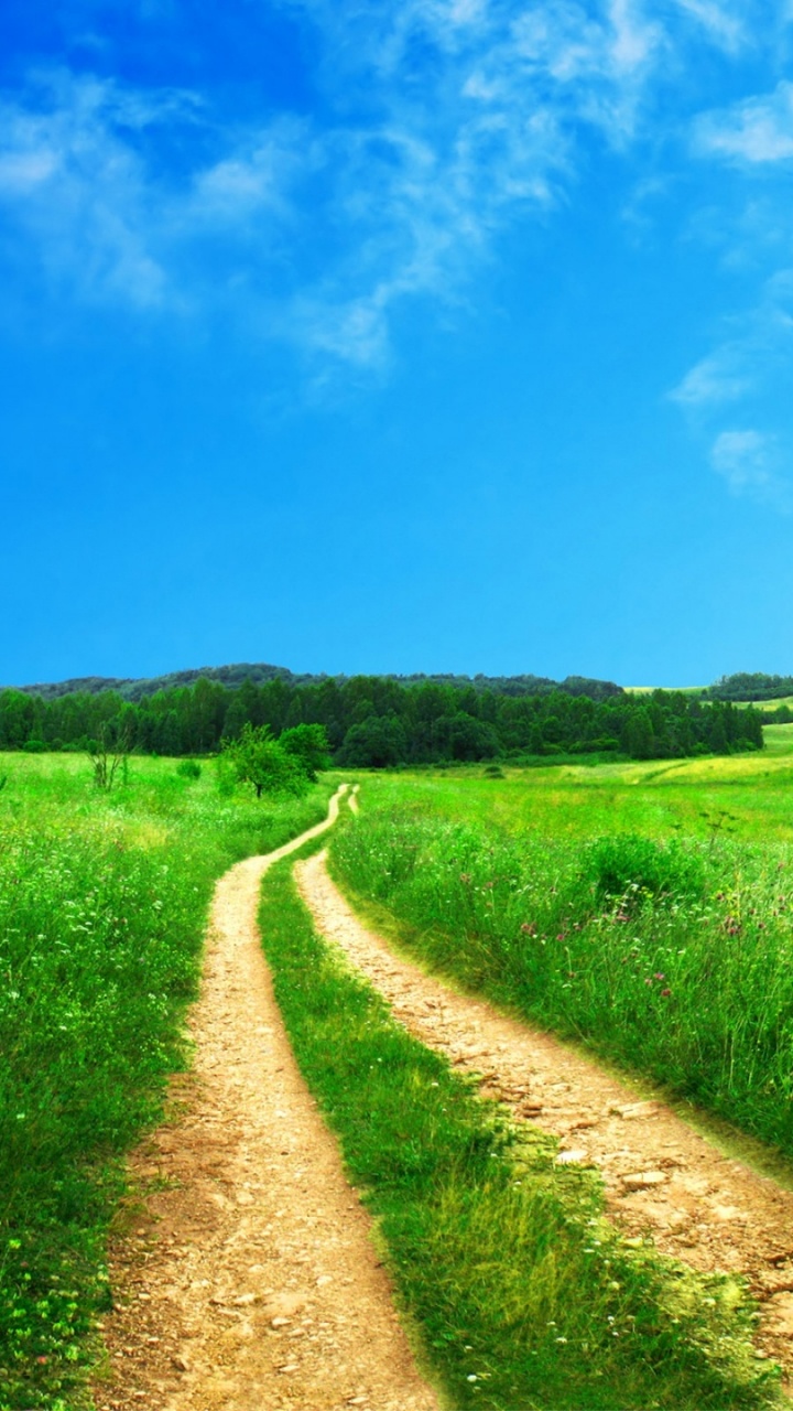 Brown Dirt Road Between Green Grass Field Under Blue Sky During Daytime. Wallpaper in 720x1280 Resolution