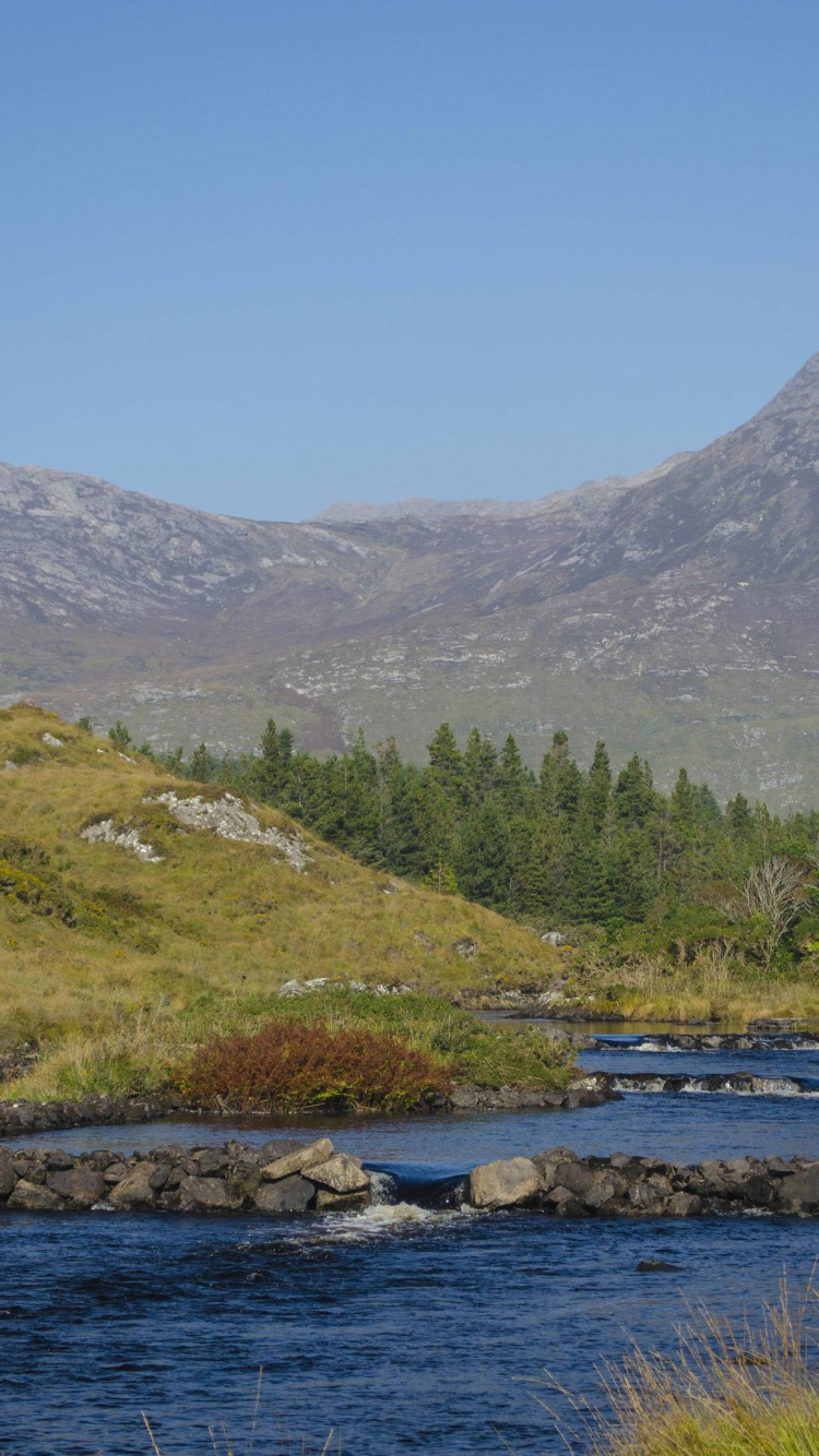 Green Grass Field Near Body of Water and Mountain Under Blue Sky During Daytime. Wallpaper in 750x1334 Resolution