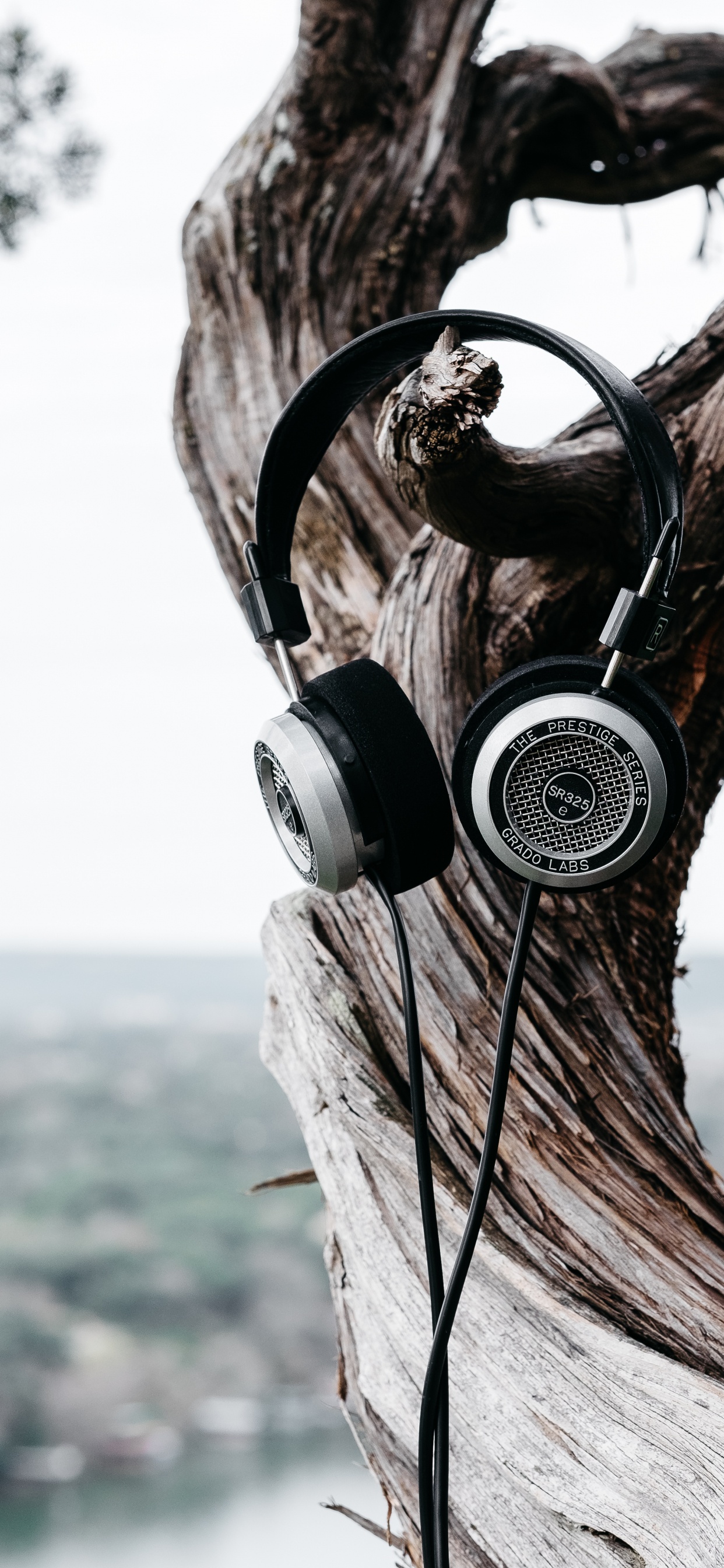 轮胎, 音频设备, 小工具, 树皮, 声音 壁纸 1242x2688 允许