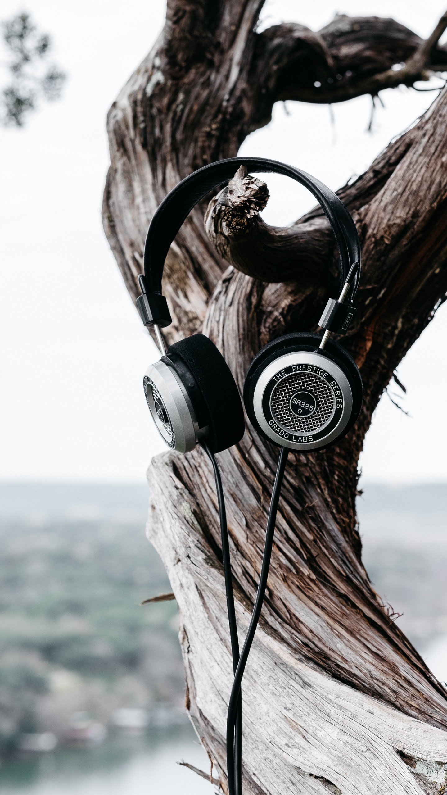 轮胎, 音频设备, 小工具, 树皮, 声音 壁纸 1440x2560 允许