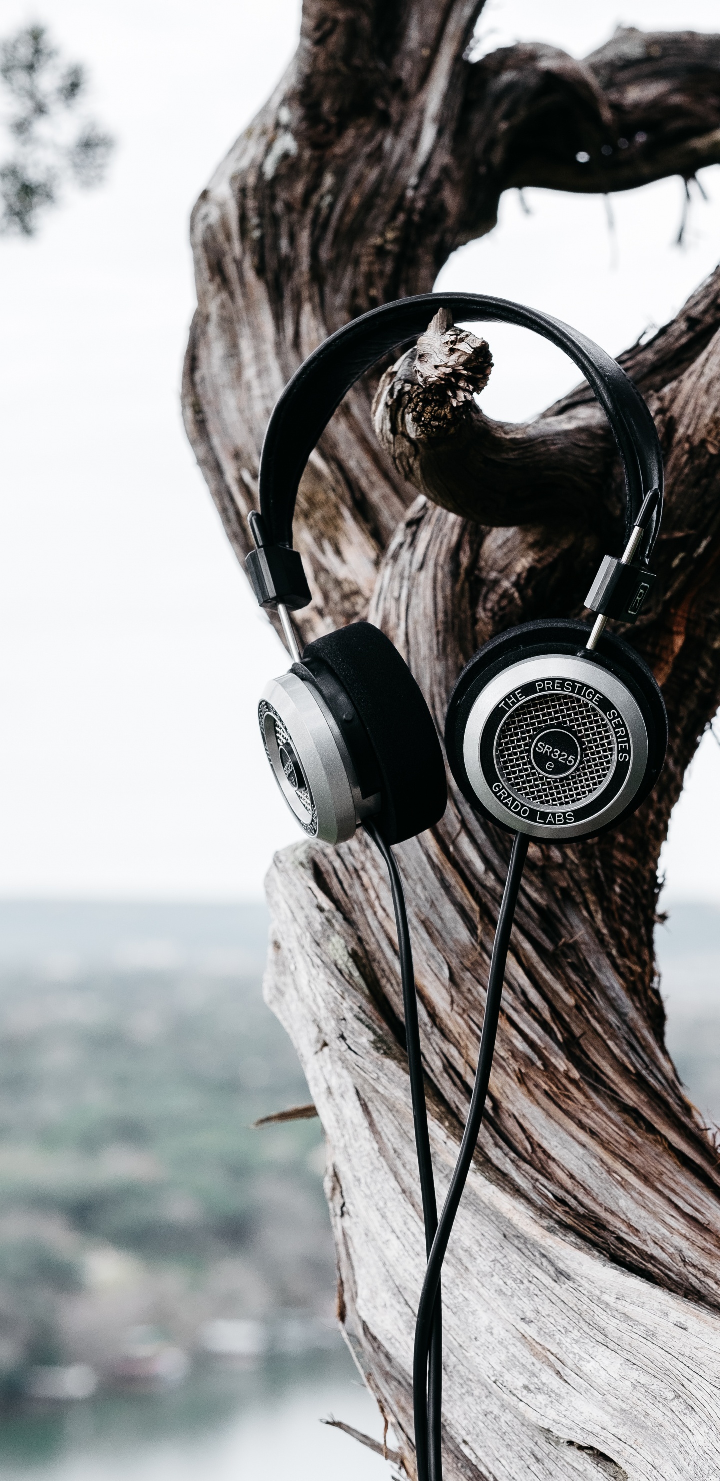 Neumatico, Auriculares, Rueda, Dramatismo, Equipo de Audio. Wallpaper in 1440x2960 Resolution