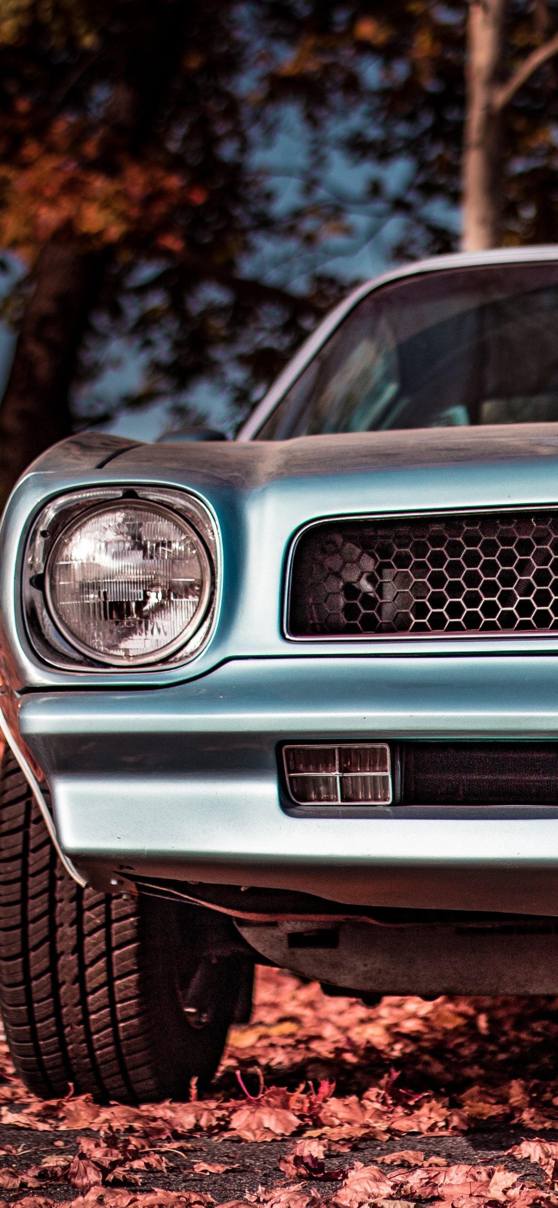 Voiture Blanche et Noire Sur Sol Brun. Wallpaper in 1125x2436 Resolution