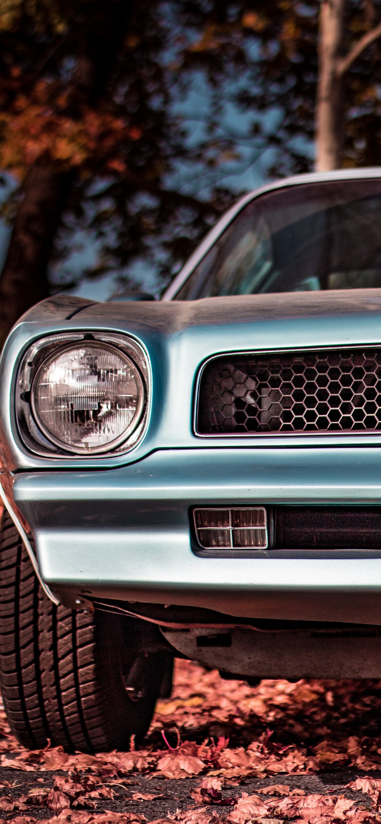 Voiture Blanche et Noire Sur Sol Brun. Wallpaper in 1242x2688 Resolution