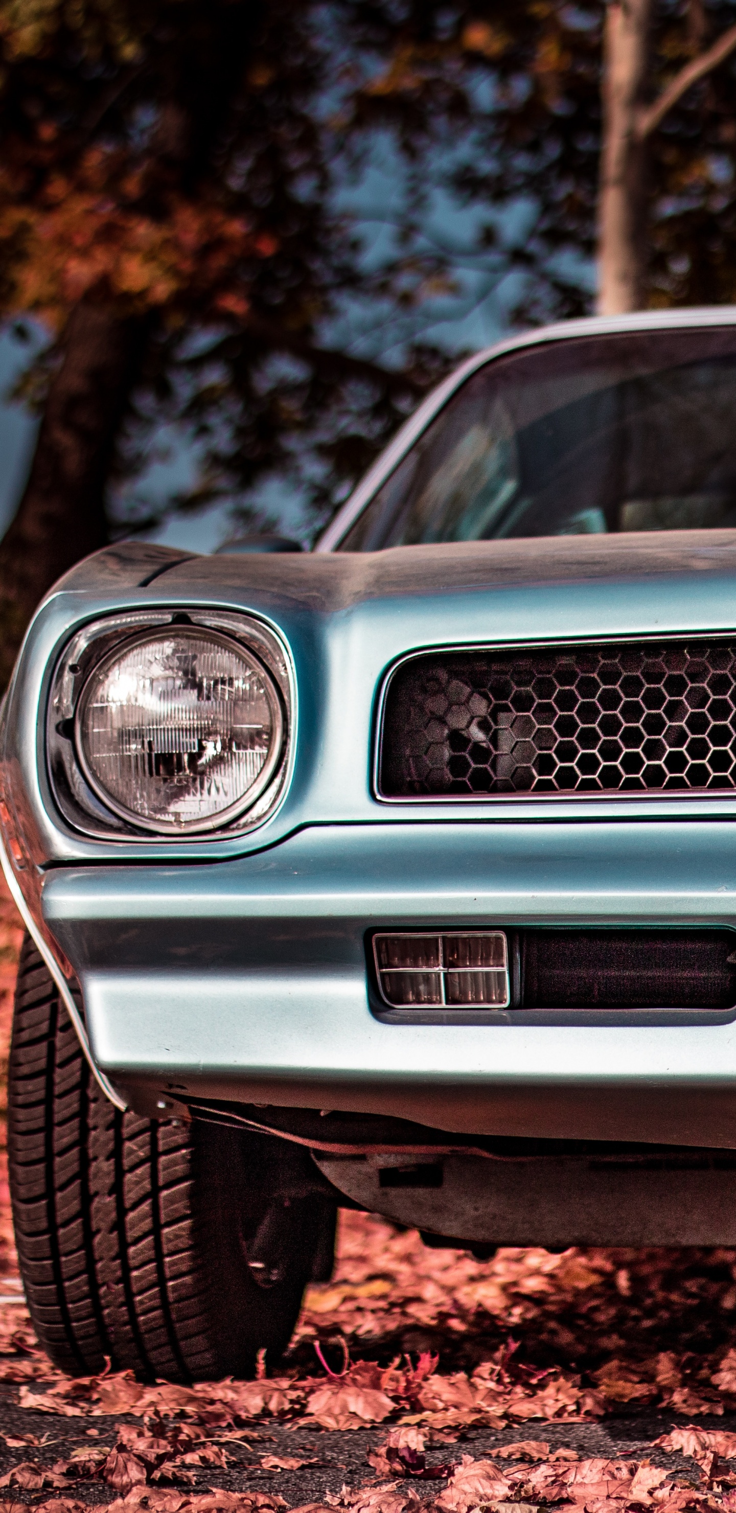 Voiture Blanche et Noire Sur Sol Brun. Wallpaper in 1440x2960 Resolution