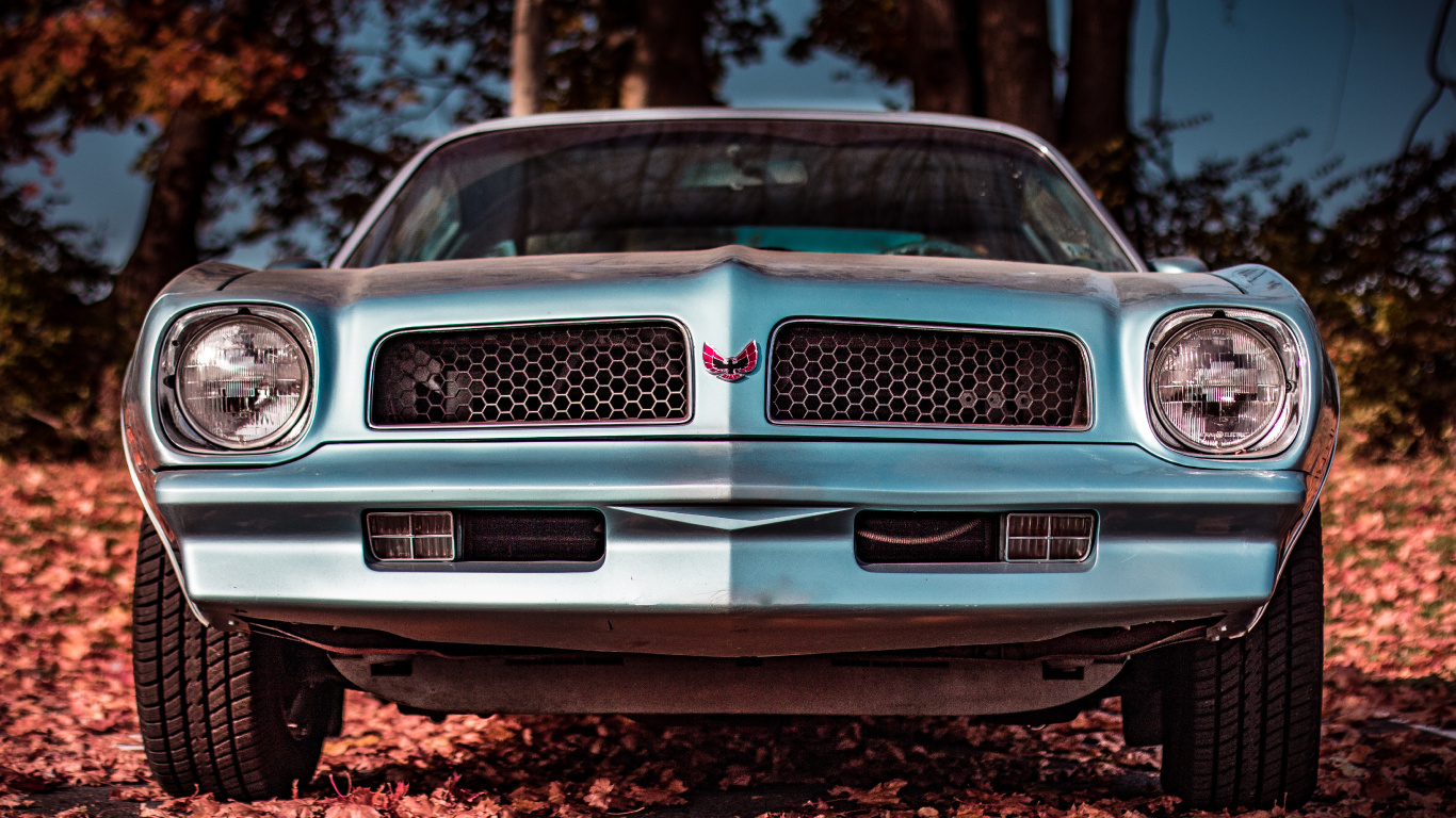 White and Black Car on Brown Soil. Wallpaper in 1366x768 Resolution