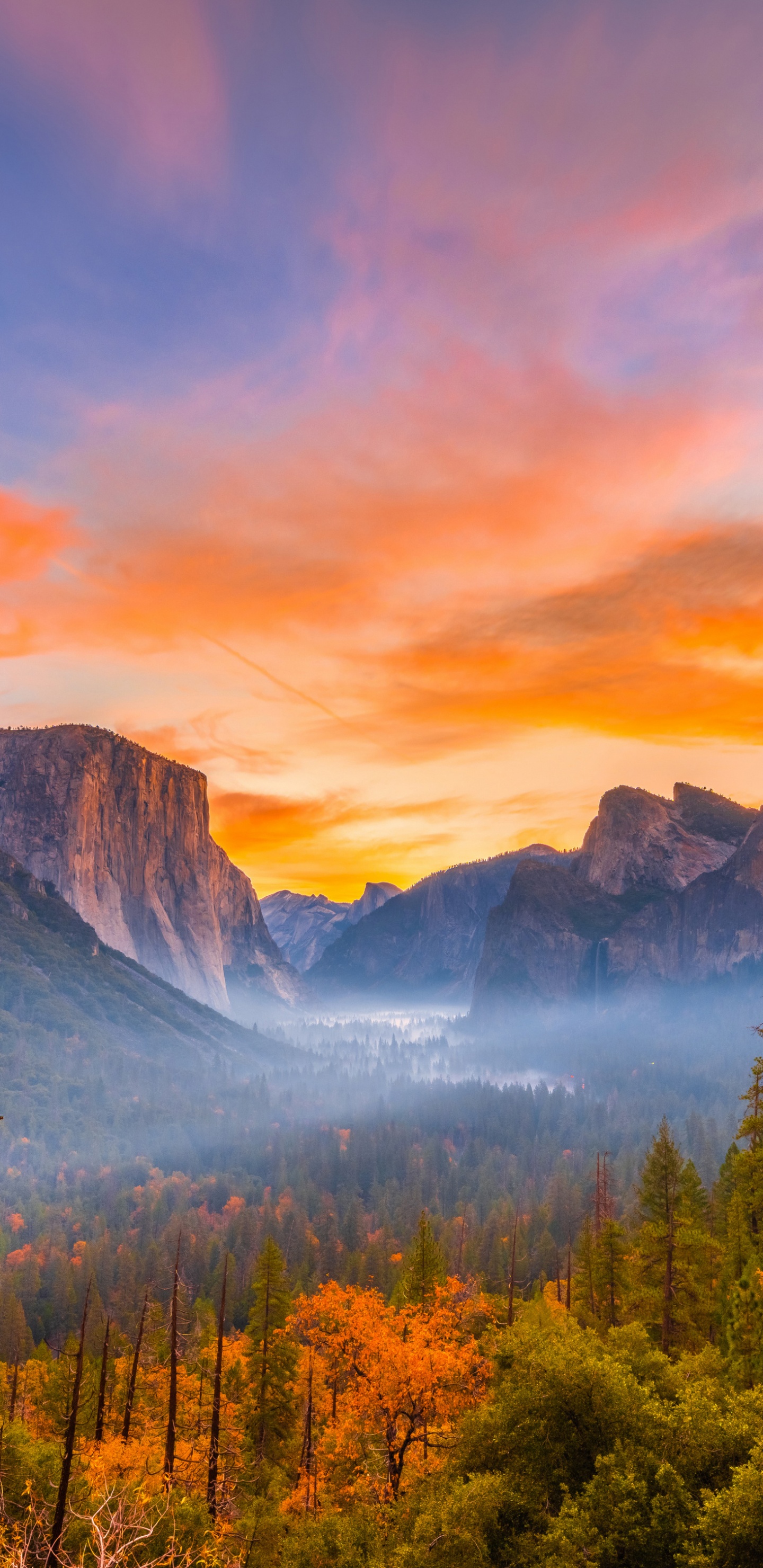 el Parque Nacional de Yosemite, el Valle de Yosemite, el Parque Nacional De, Parque, Naturaleza. Wallpaper in 1440x2960 Resolution