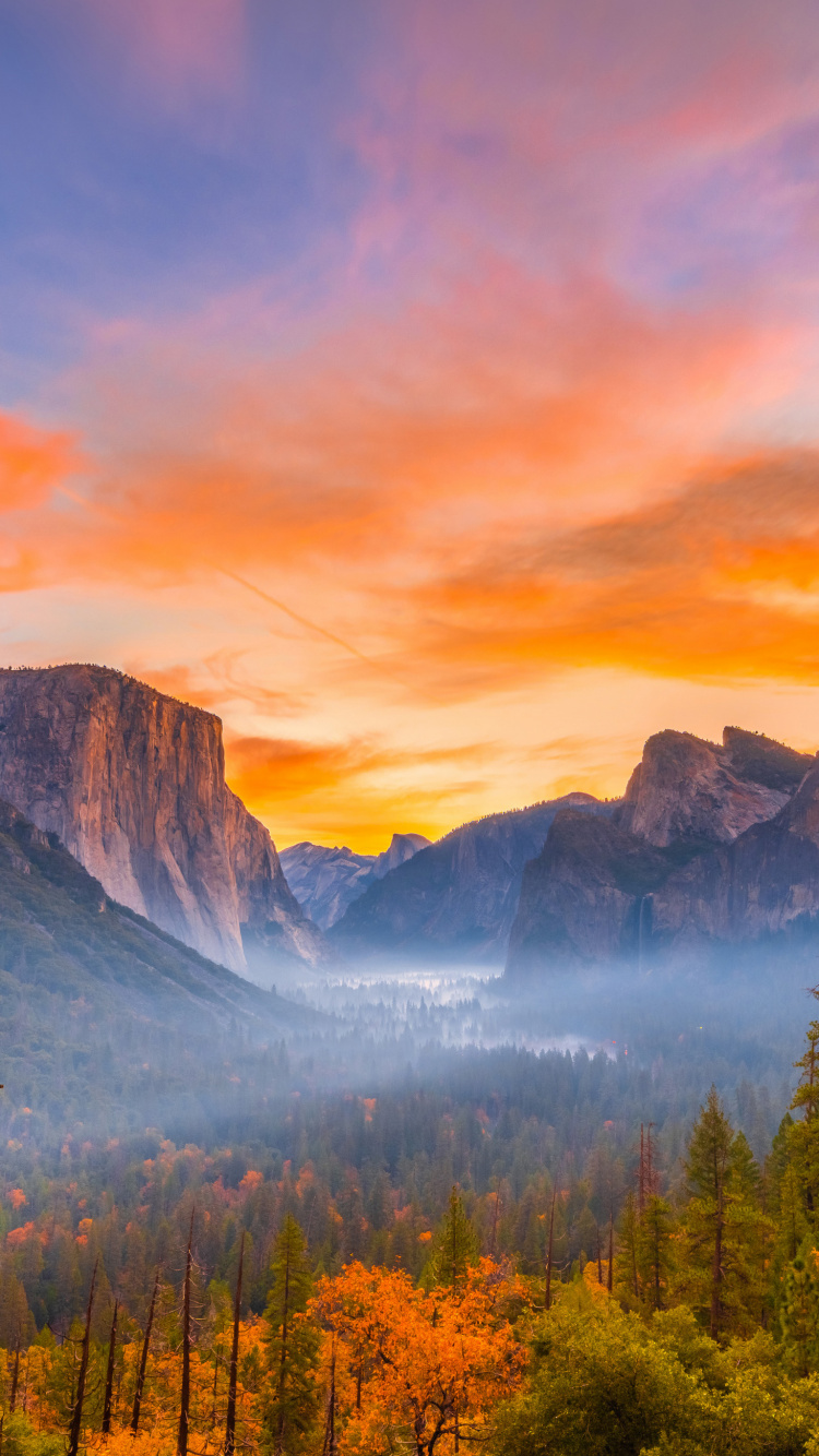 le Parc National de Yosemite, la Vallée de Yosemite, le Parc National De, Parc, Nature. Wallpaper in 750x1334 Resolution