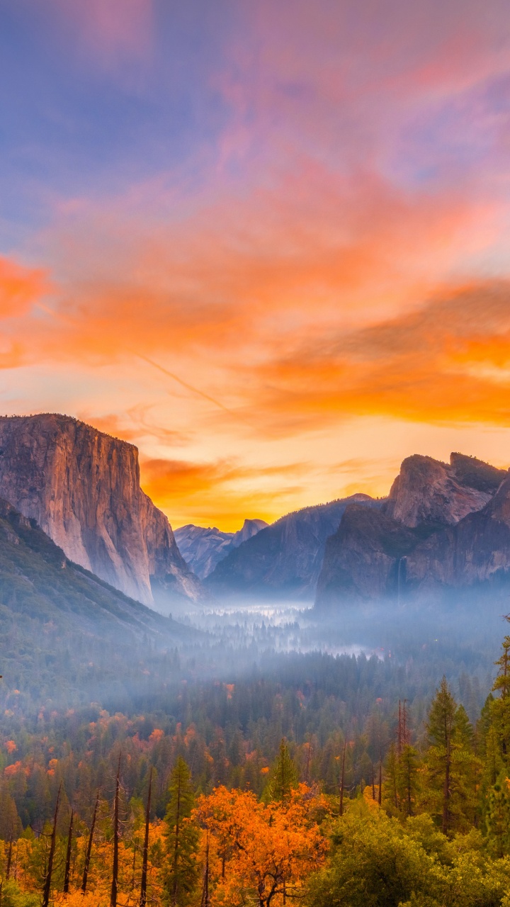 Yosemite National Park, Yosemite Valley, National Park, Park, Nature. Wallpaper in 720x1280 Resolution