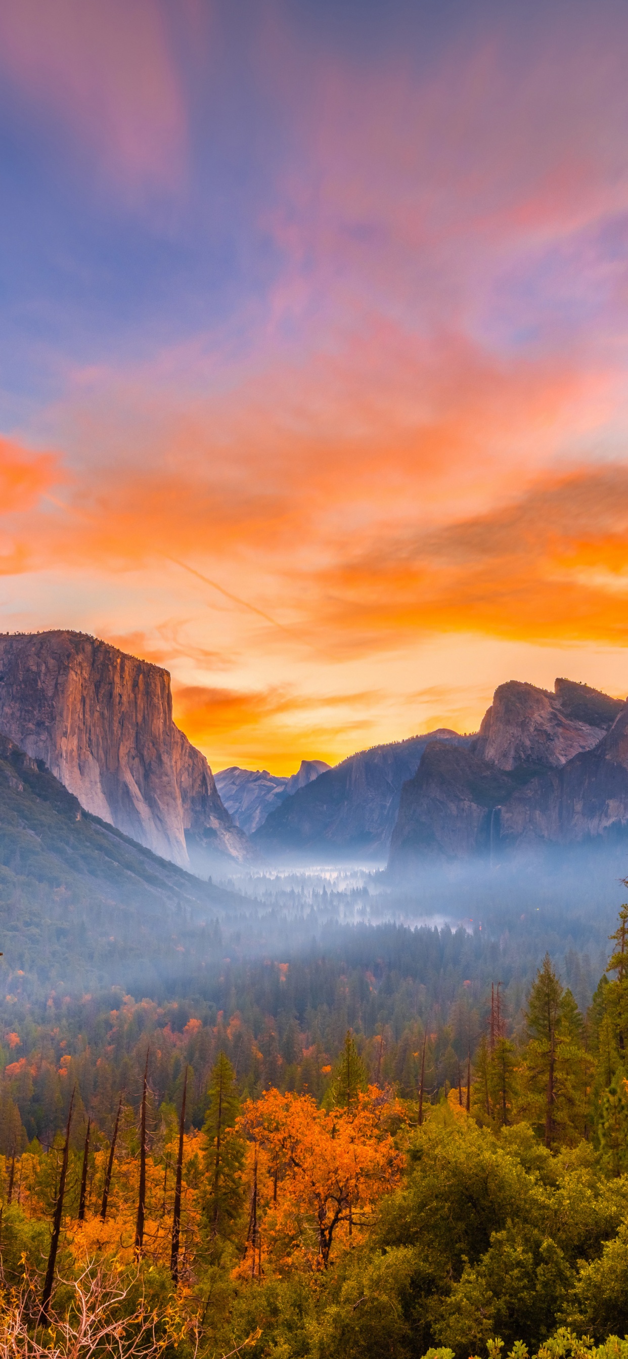 Yosemite National Park, Yosemite Valley, Nationalpark, Park, Natur. Wallpaper in 1242x2688 Resolution