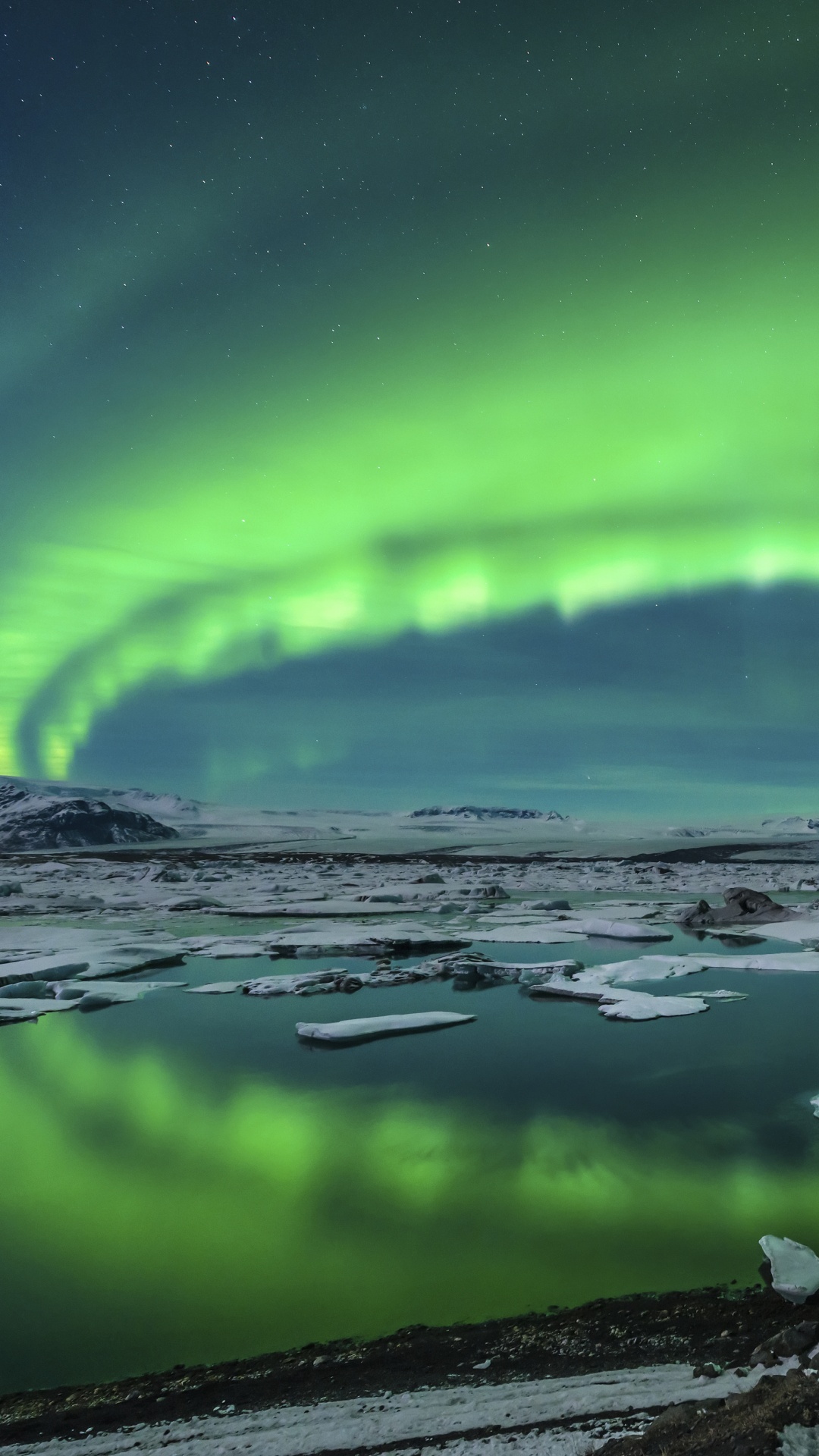 Weißer Und Schwarzer Vogel Auf Braunem Felsen in Der Nähe Des Sees Tagsüber. Wallpaper in 1080x1920 Resolution
