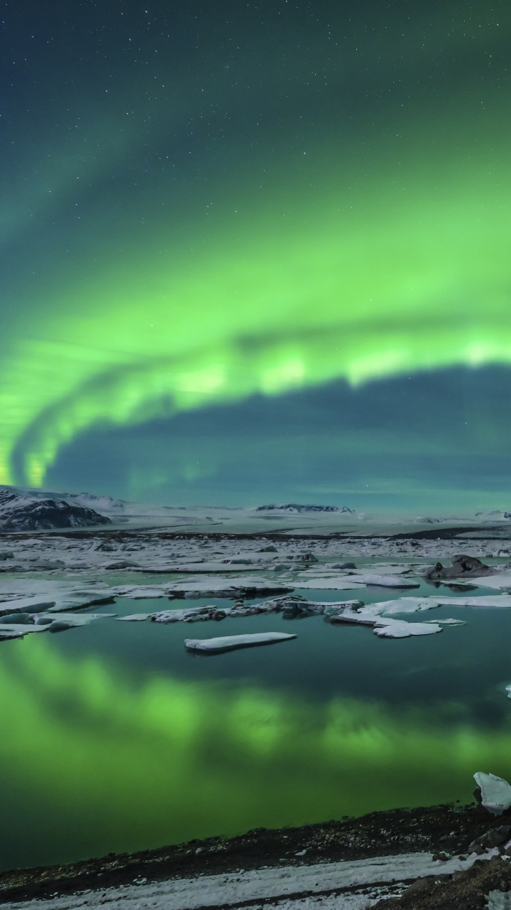 Weißer Und Schwarzer Vogel Auf Braunem Felsen in Der Nähe Des Sees Tagsüber. Wallpaper in 720x1280 Resolution