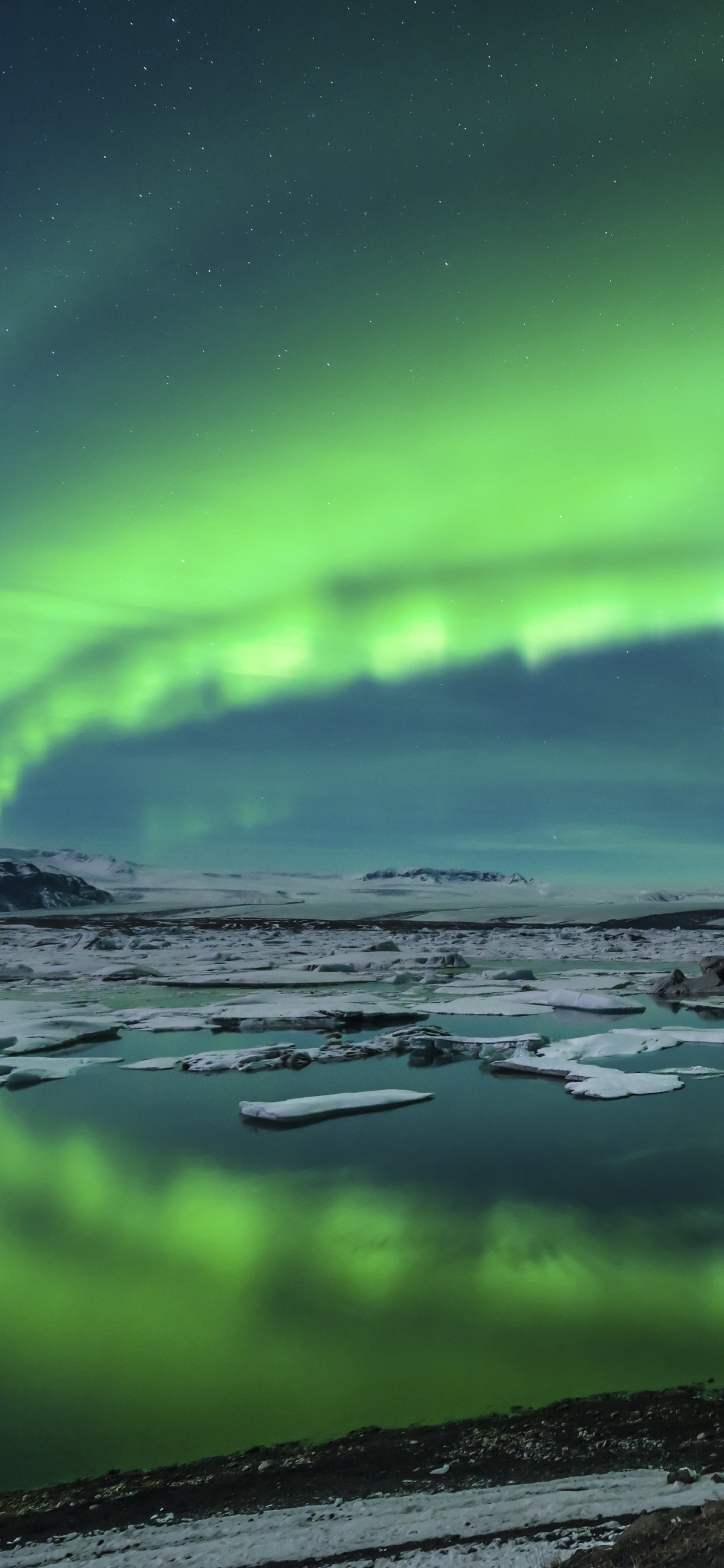 White and Black Bird on Brown Rock Near Lake During Daytime. Wallpaper in 1242x2688 Resolution
