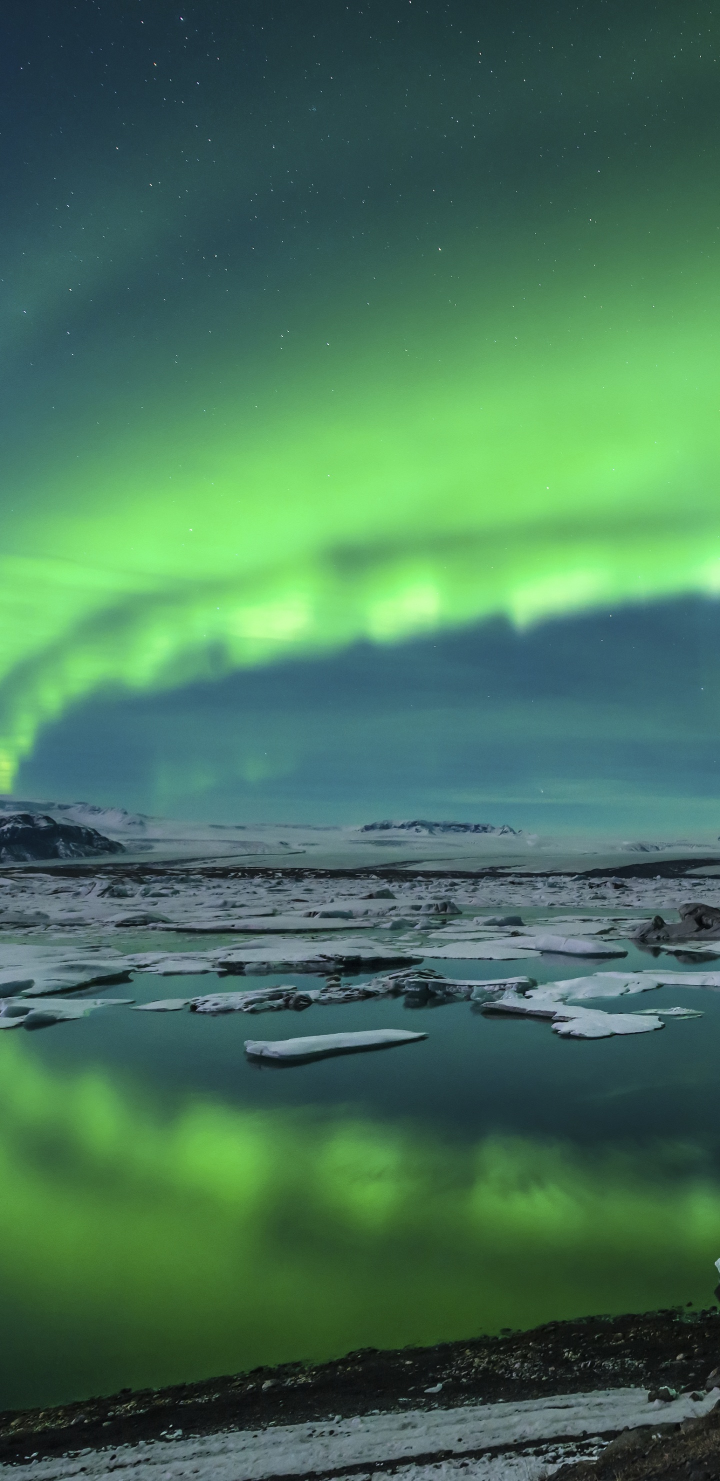 Oiseau Blanc et Noir Sur un Rocher Brun Près du Lac Pendant la Journée. Wallpaper in 1440x2960 Resolution