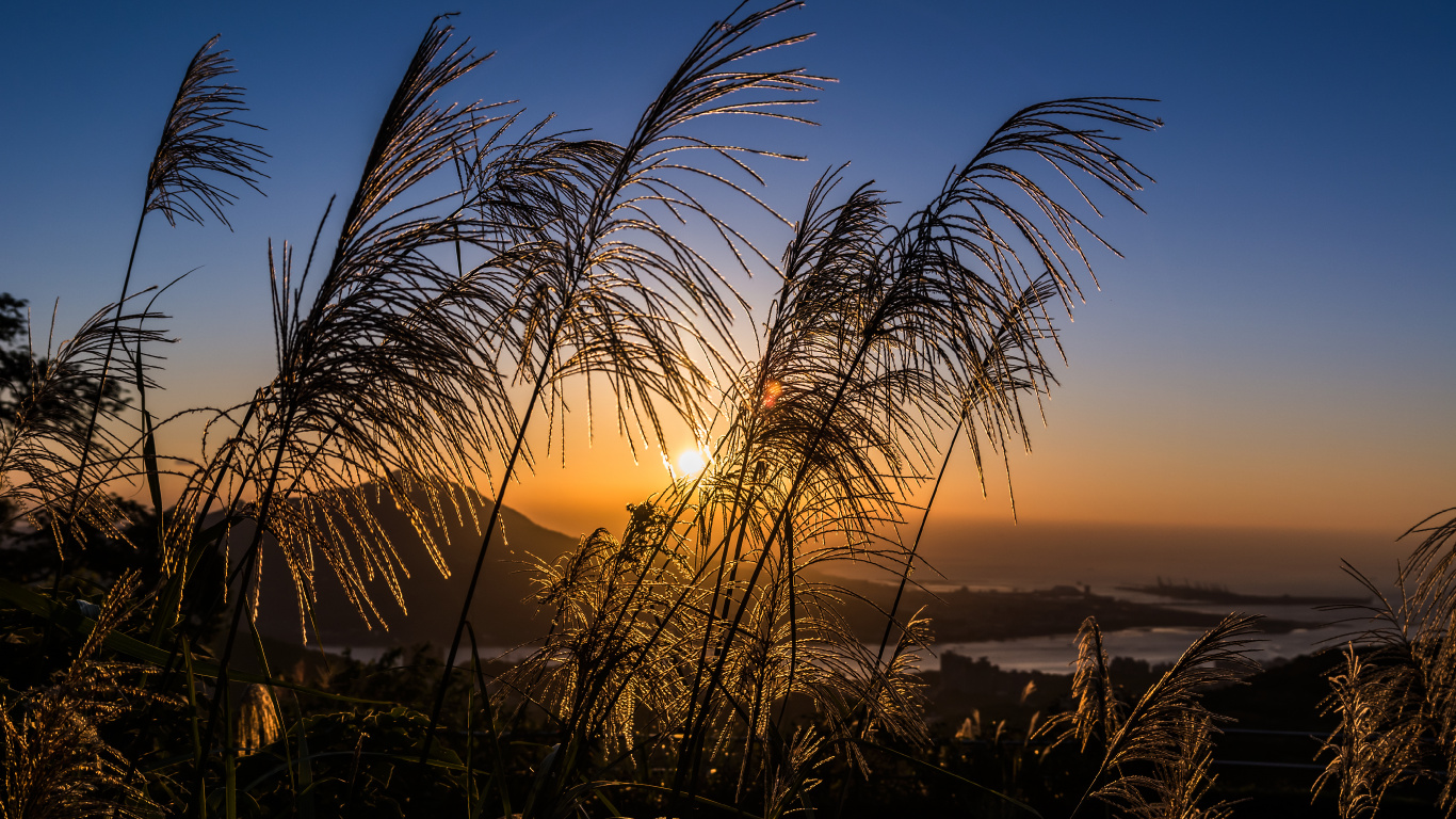 Atmosphere, Plant, Cloud, Afterglow, Natural Landscape. Wallpaper in 1366x768 Resolution