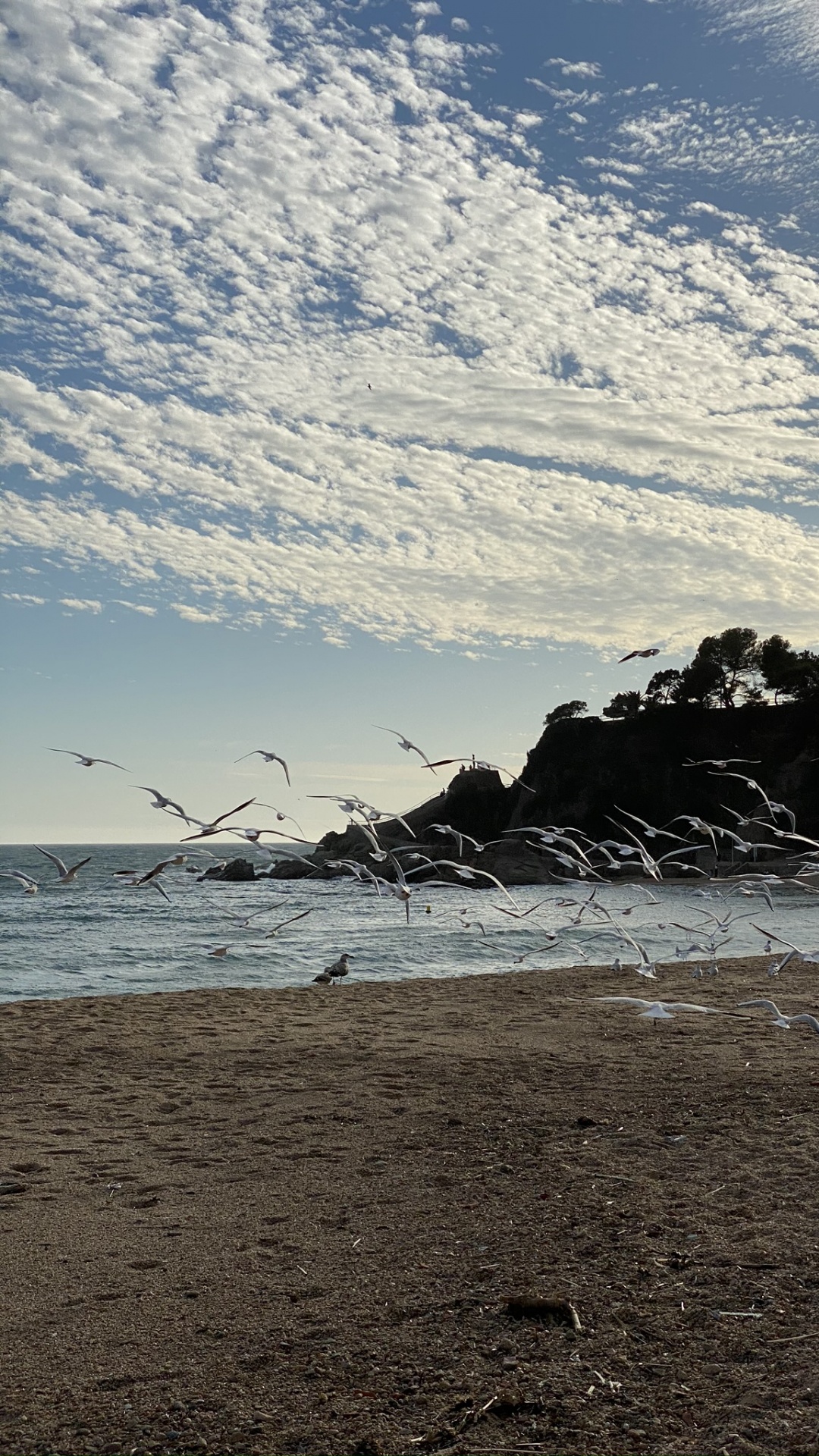 Mar, Agua, Playa, Cuerpo de Agua, Naturaleza. Wallpaper in 1080x1920 Resolution