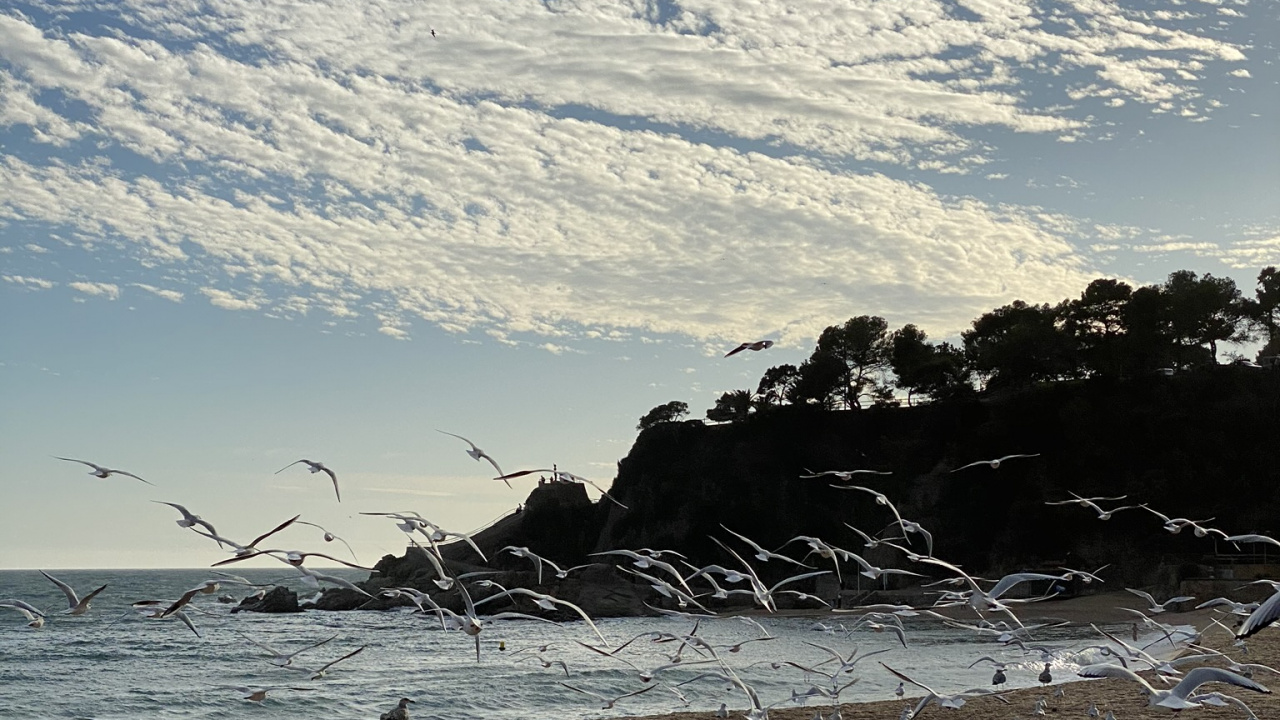 Mar, Agua, Playa, Cuerpo de Agua, Naturaleza. Wallpaper in 1280x720 Resolution