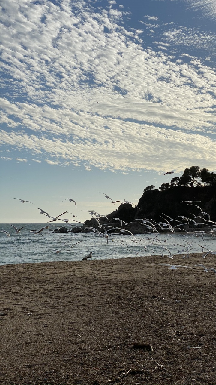 Mar, Agua, Playa, Cuerpo de Agua, Naturaleza. Wallpaper in 720x1280 Resolution